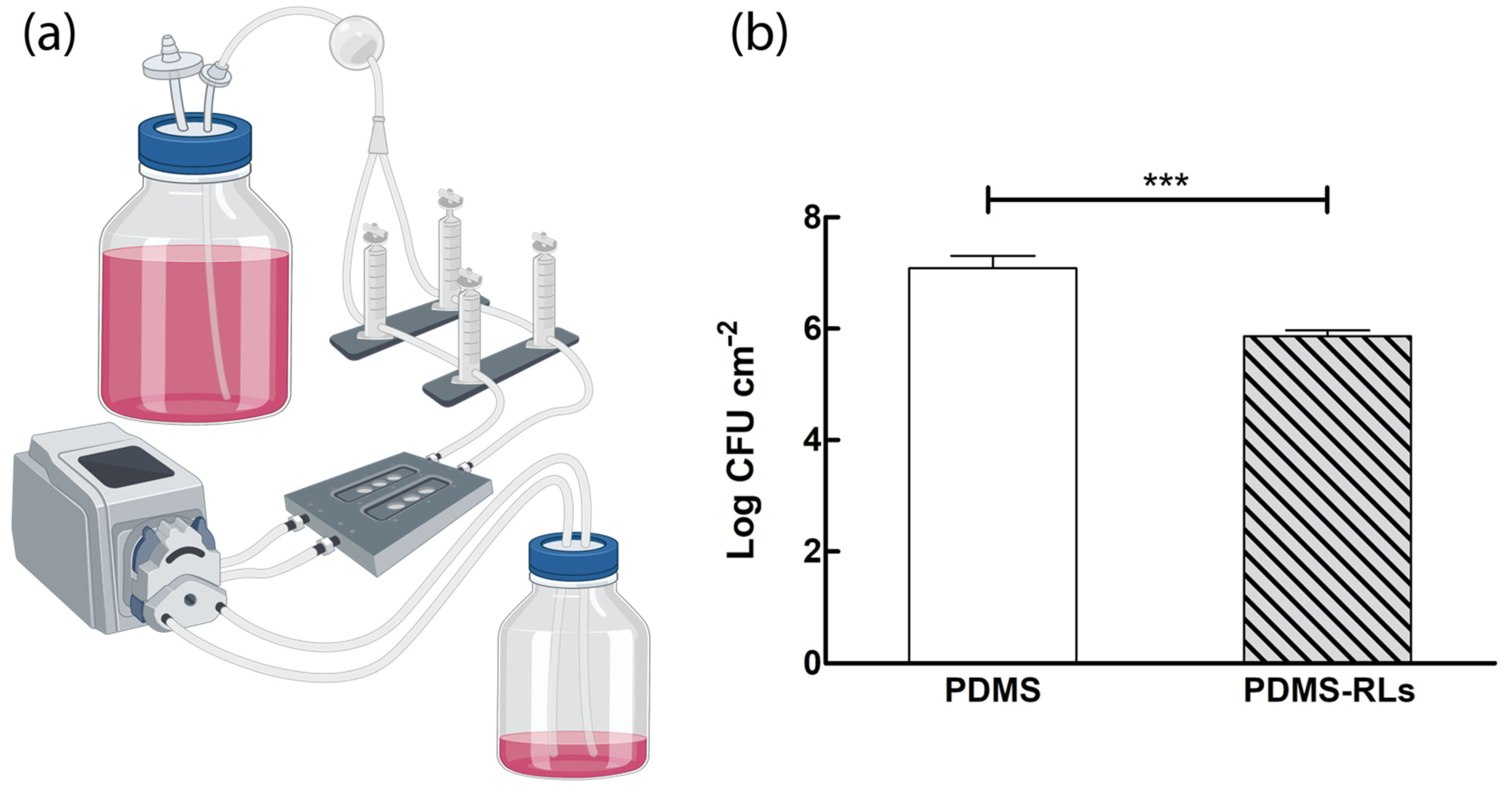 Pharmaceutics 14 01836 g004