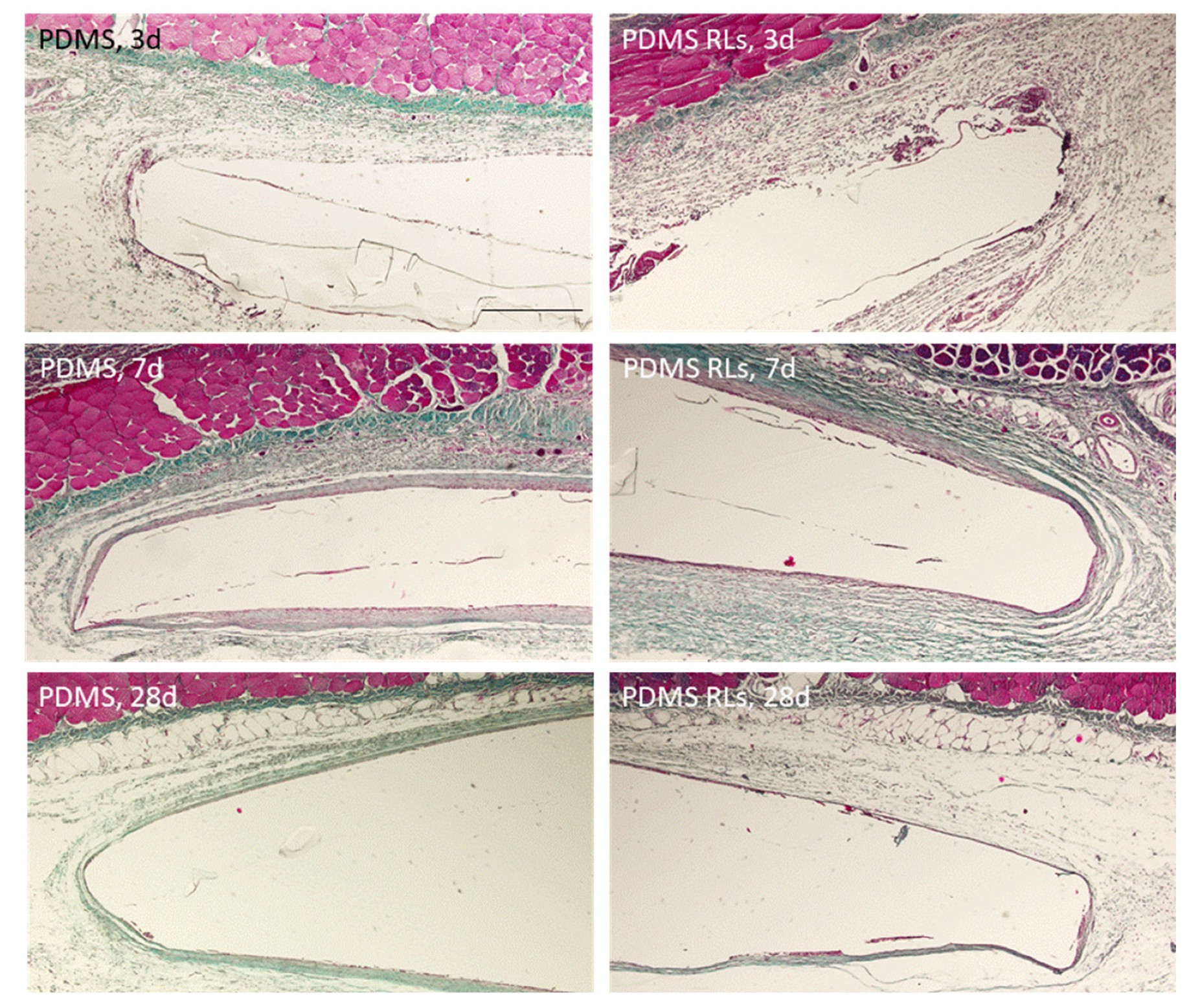 Pharmaceutics 14 01836 g008
