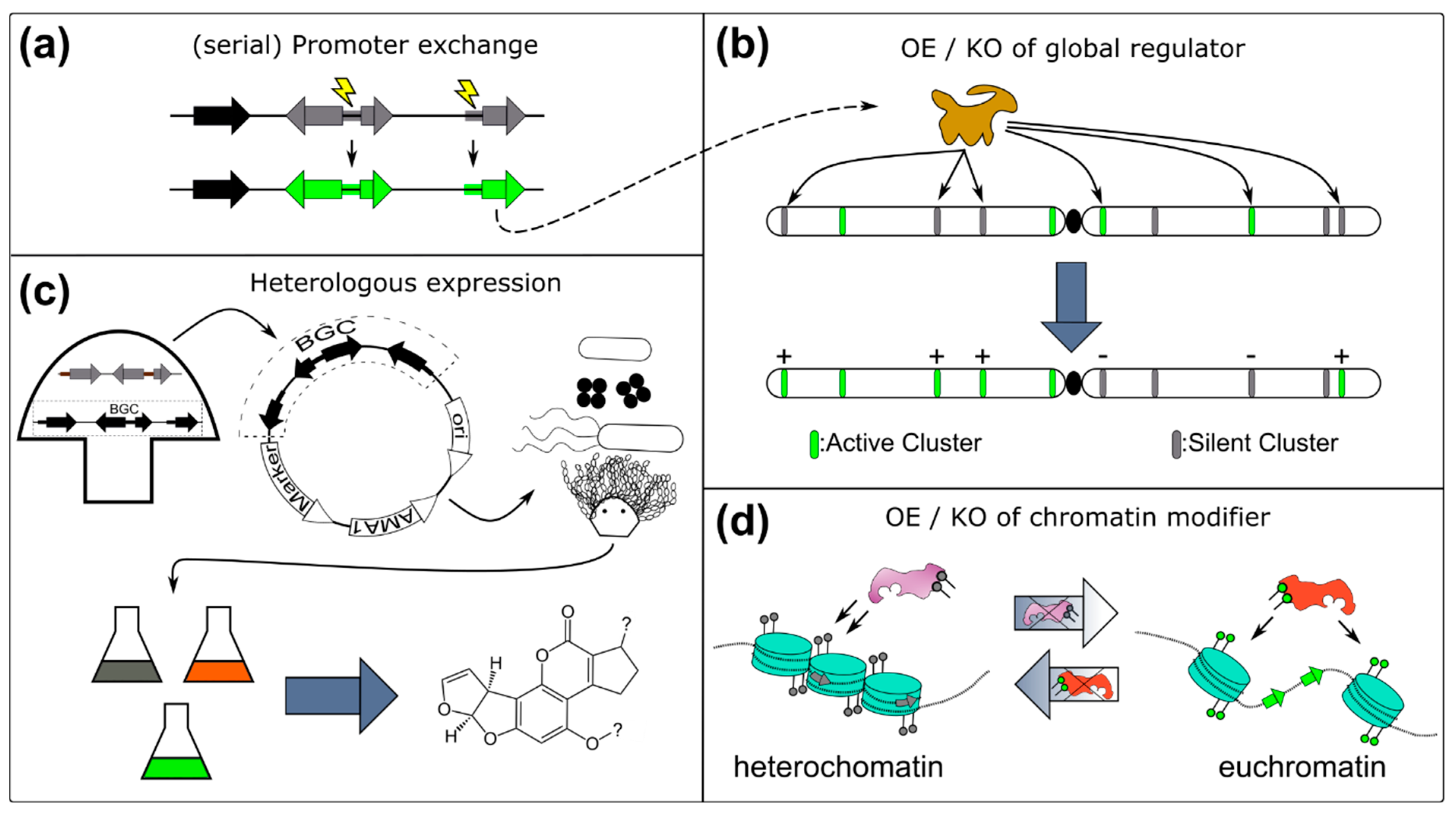 Pharmaceutics 14 01837 g002