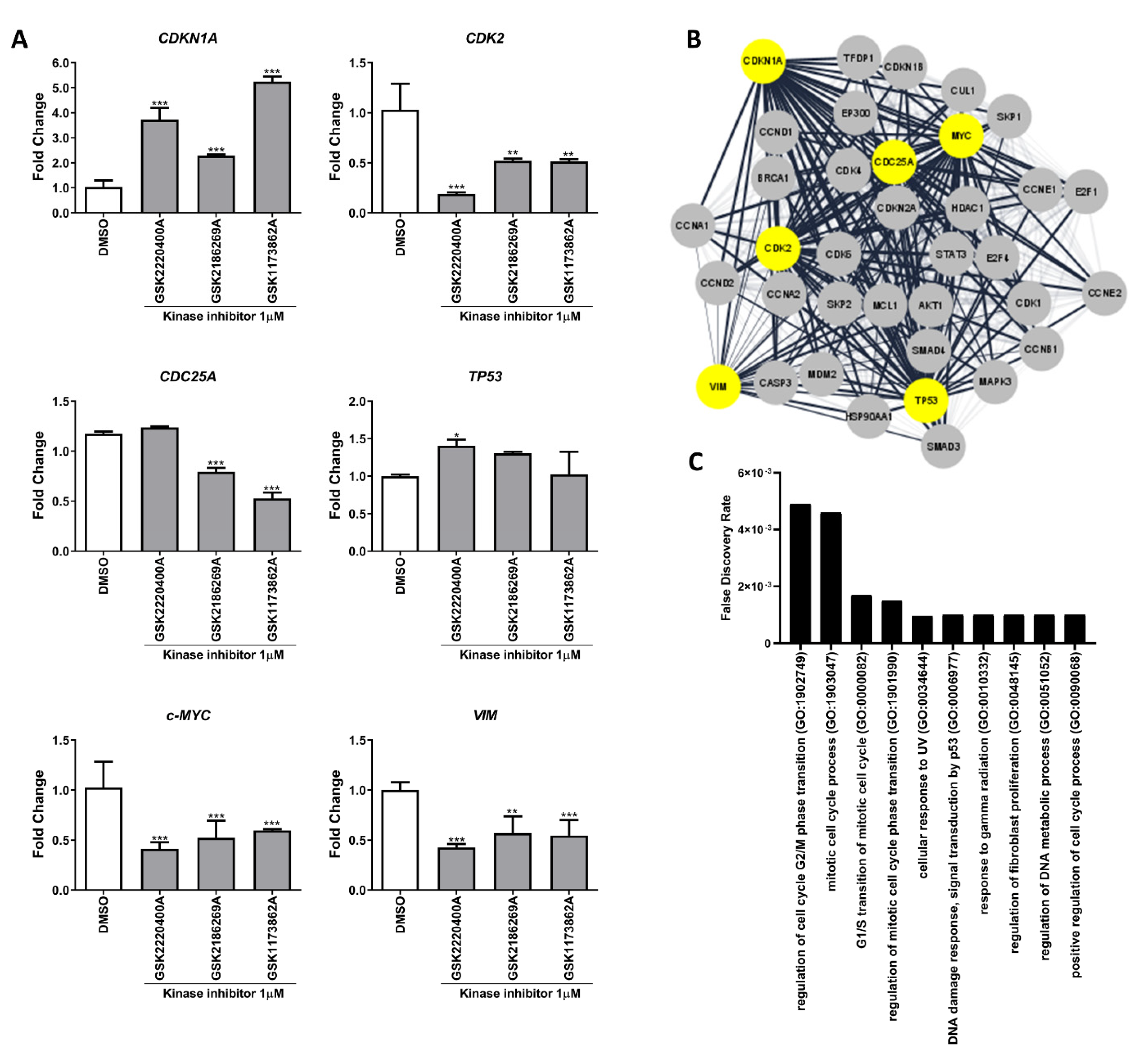 Pharmaceutics 14 01841 g003