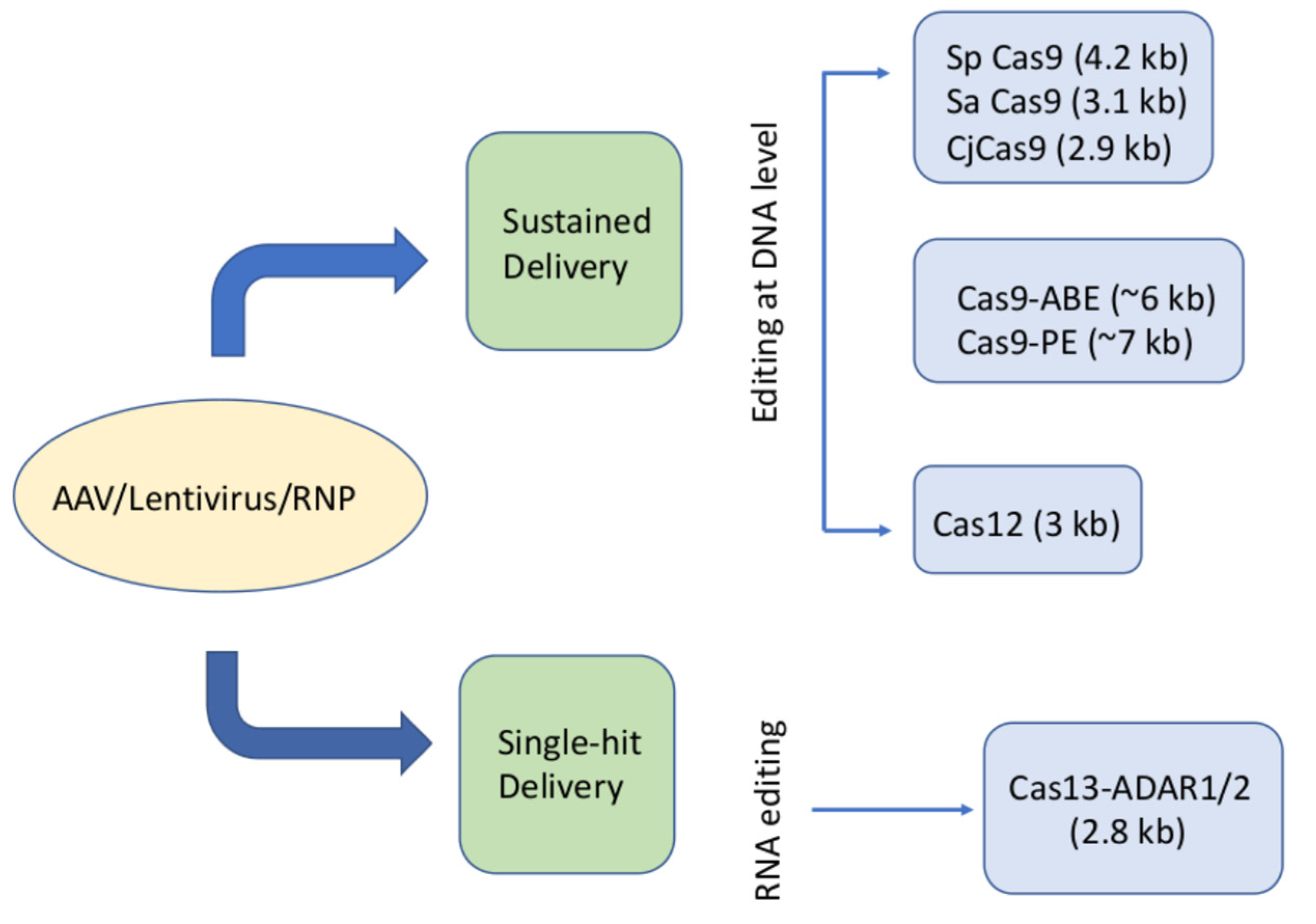 Pharmaceutics 14 01842 g002 Pharmaceutics 14 01842 g002