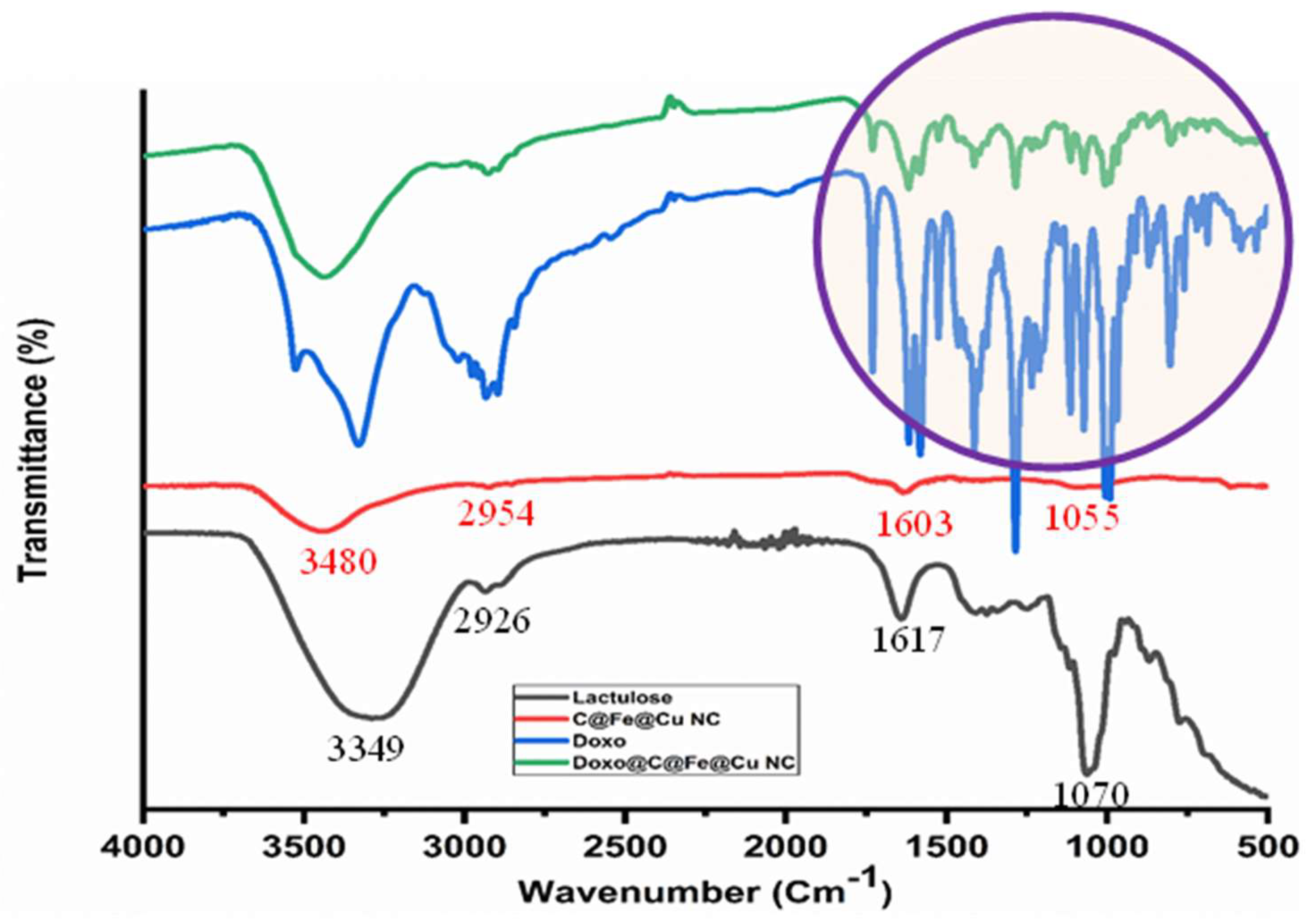 Pharmaceutics 14 01845 g002