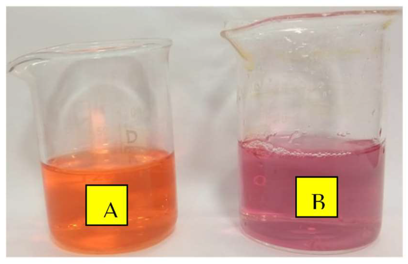 Pharmaceutics 14 01845 g006