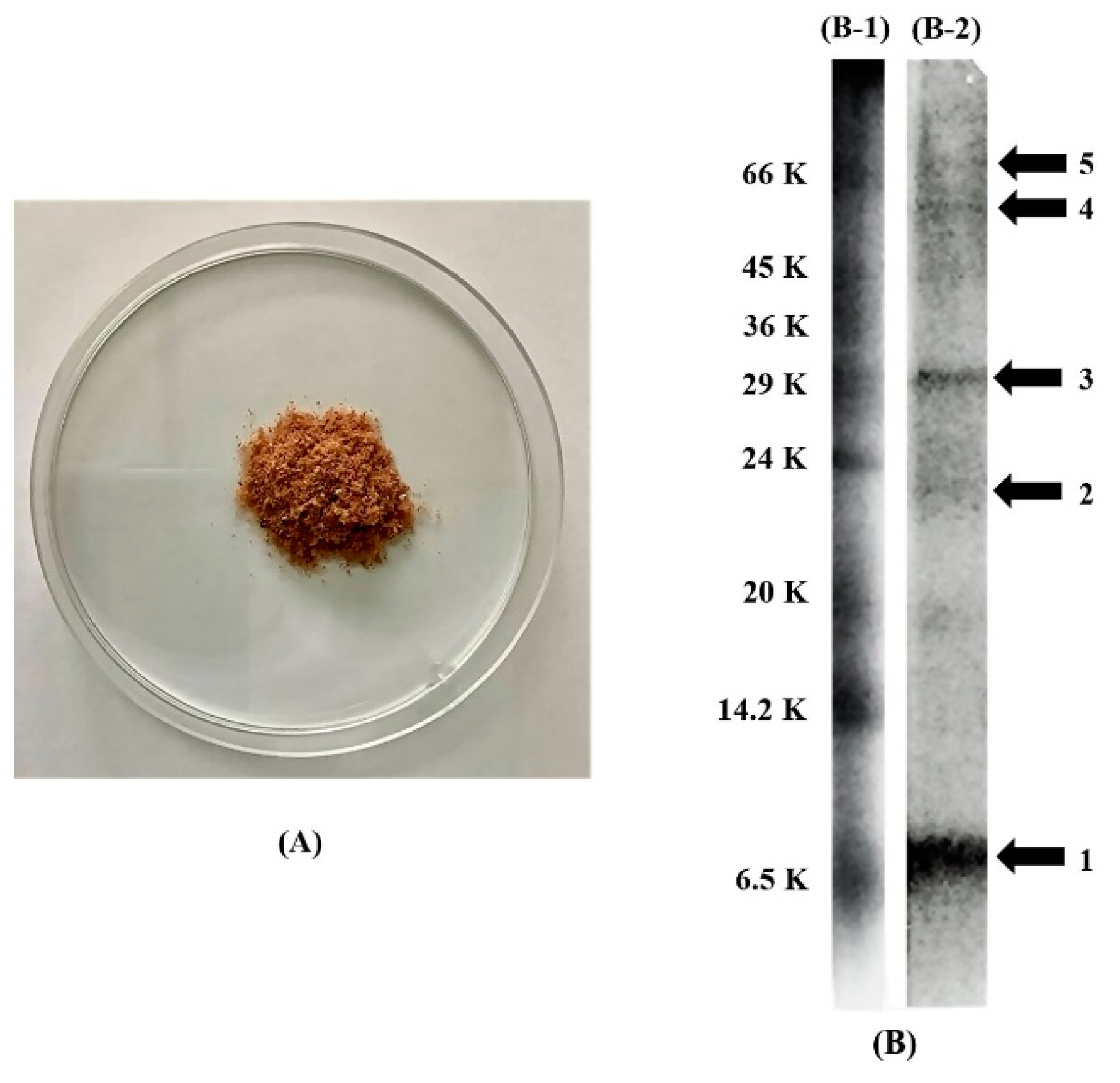 Pharmaceutics 14 01846 g001 550