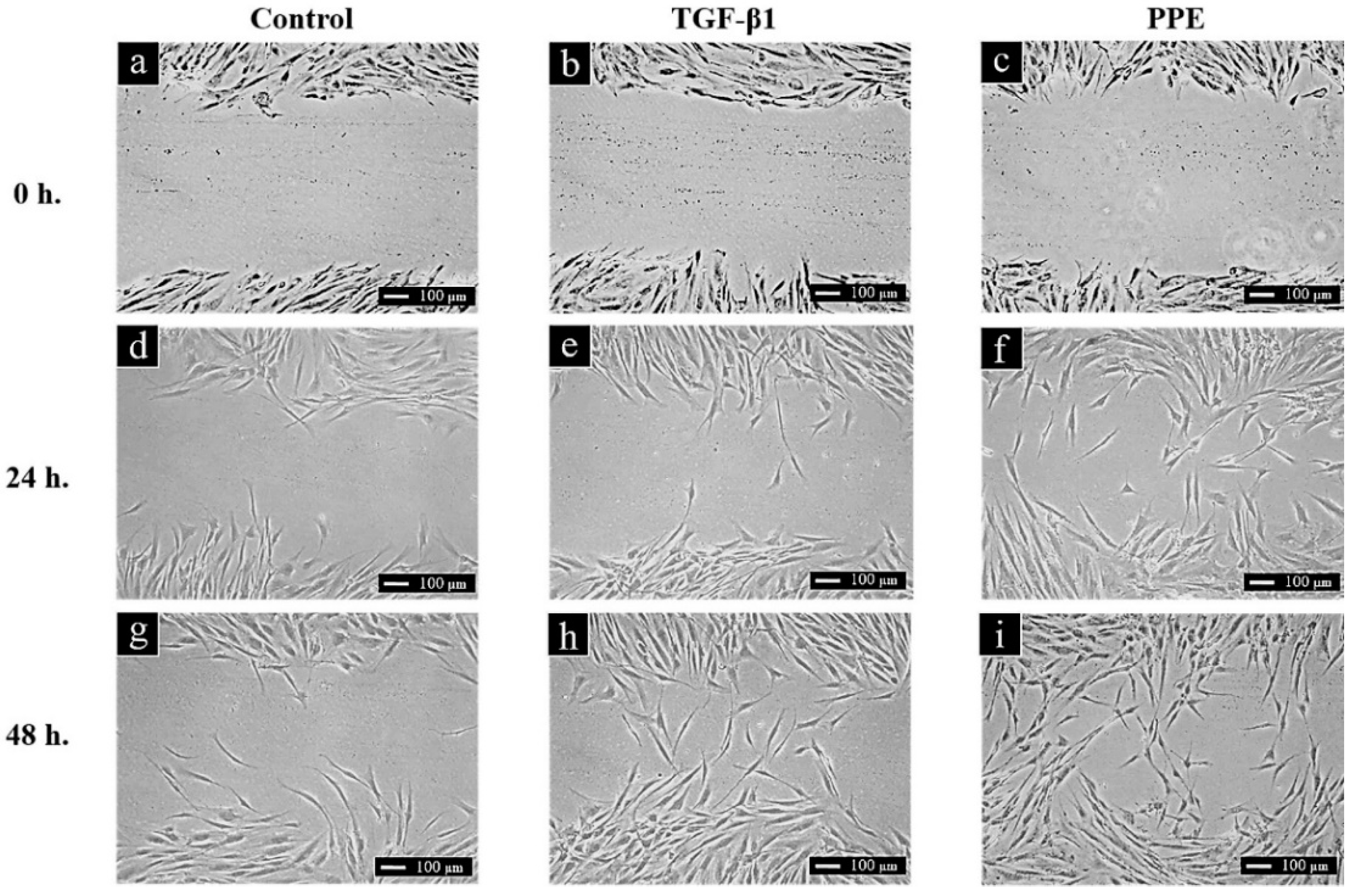 Pharmaceutics 14 01846 g004 550