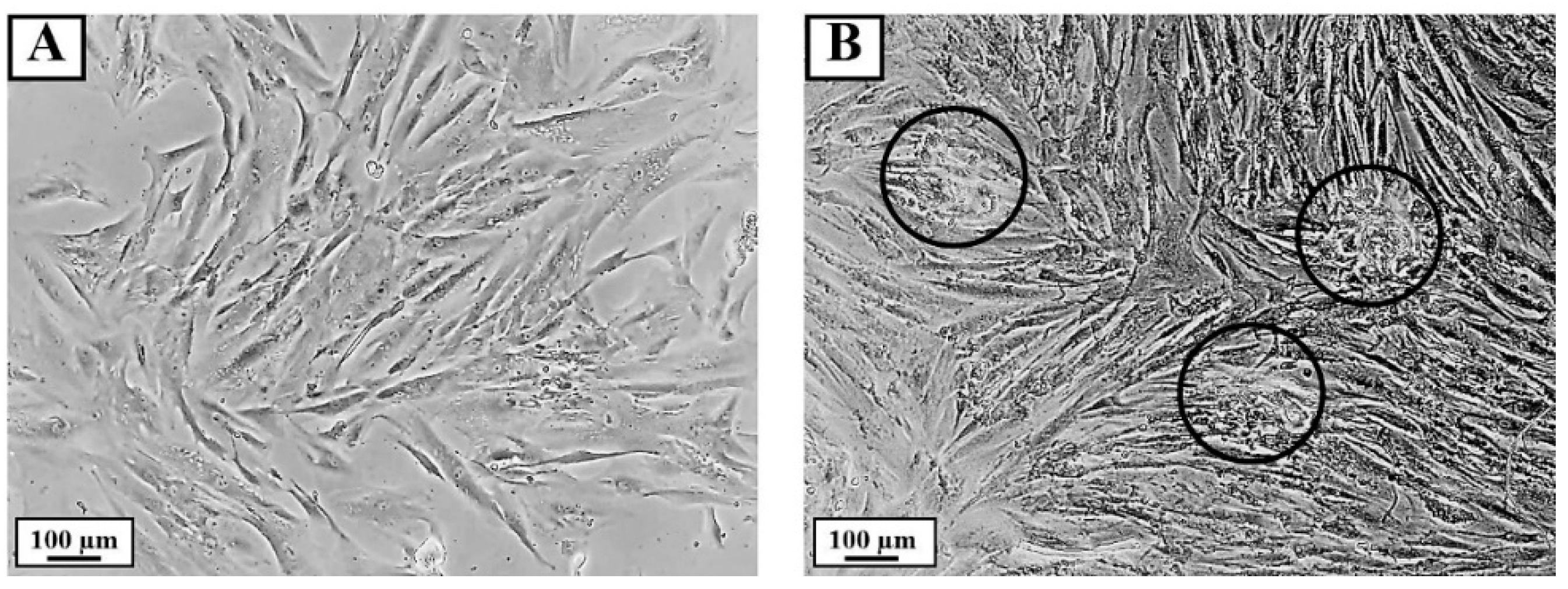 Pharmaceutics 14 01846 g005 550