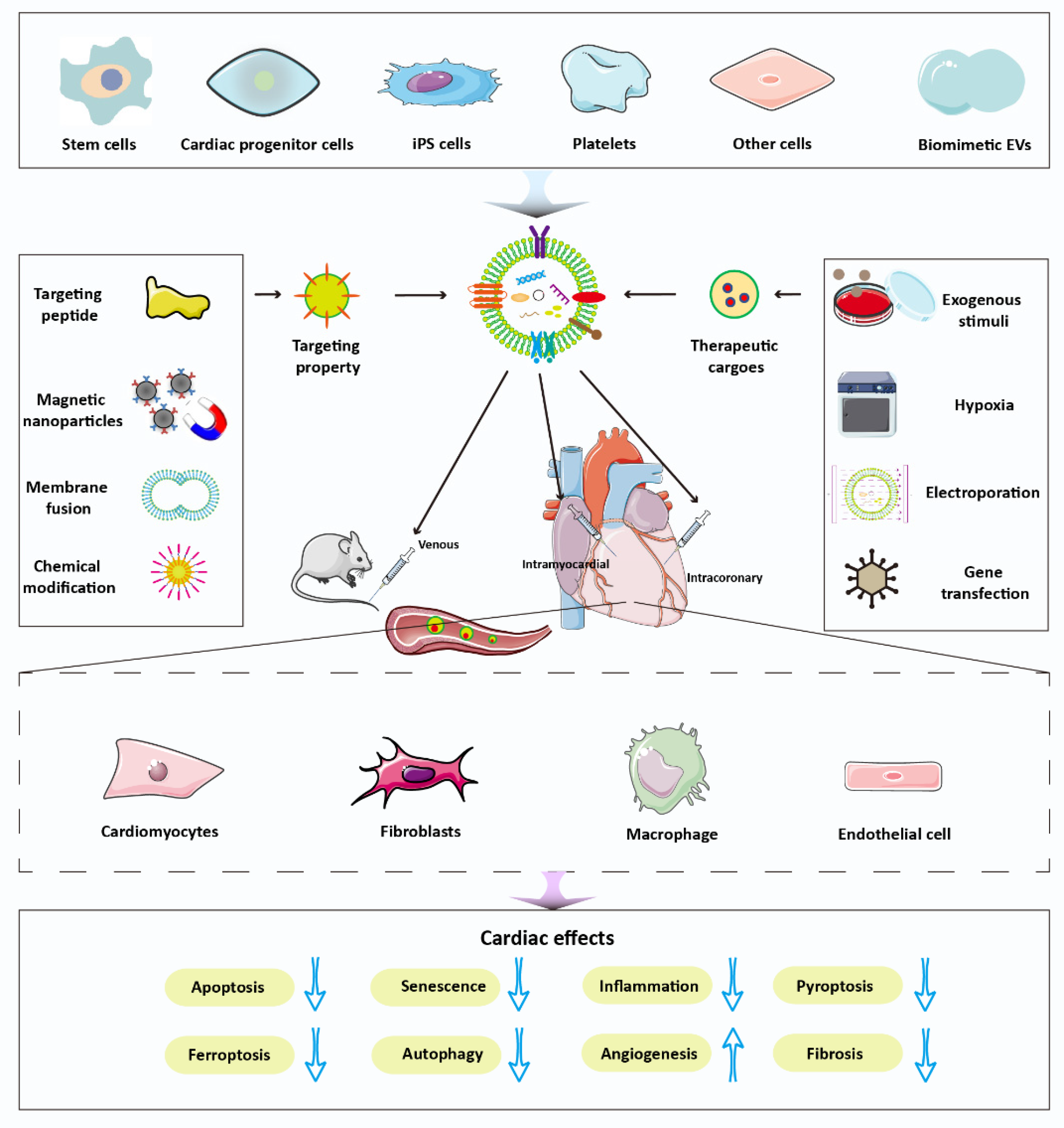 Pharmaceutics 14 01848 g004 550