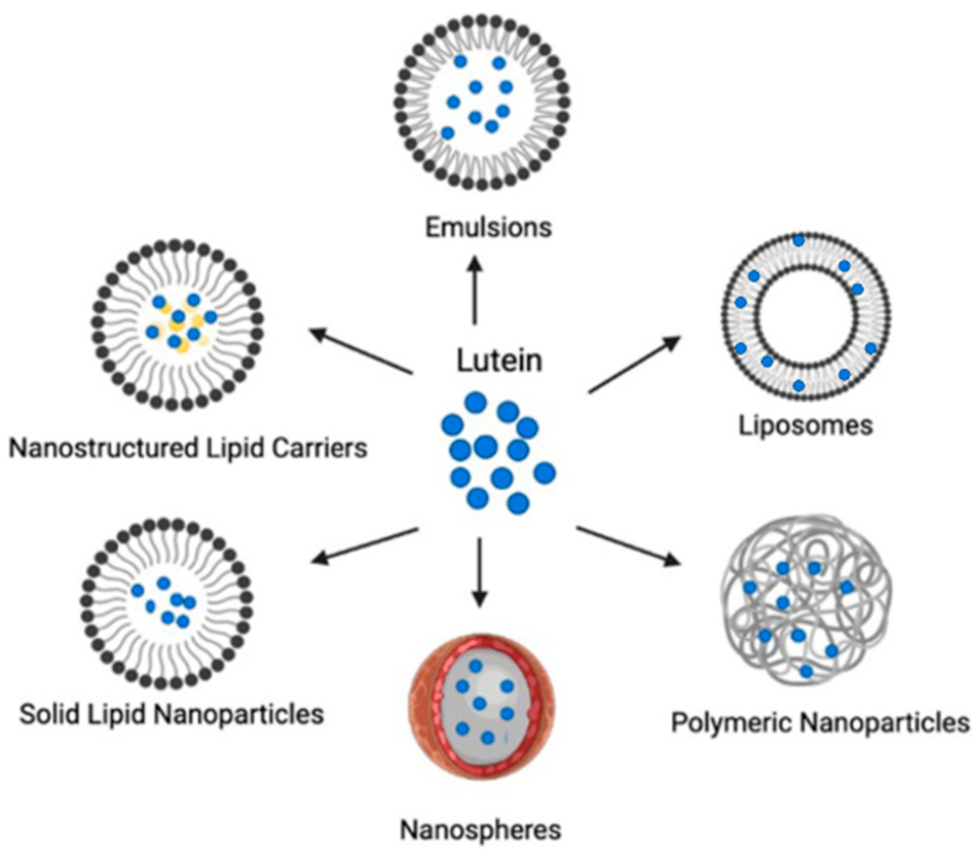 Pharmaceutics 14 01852 g002 550