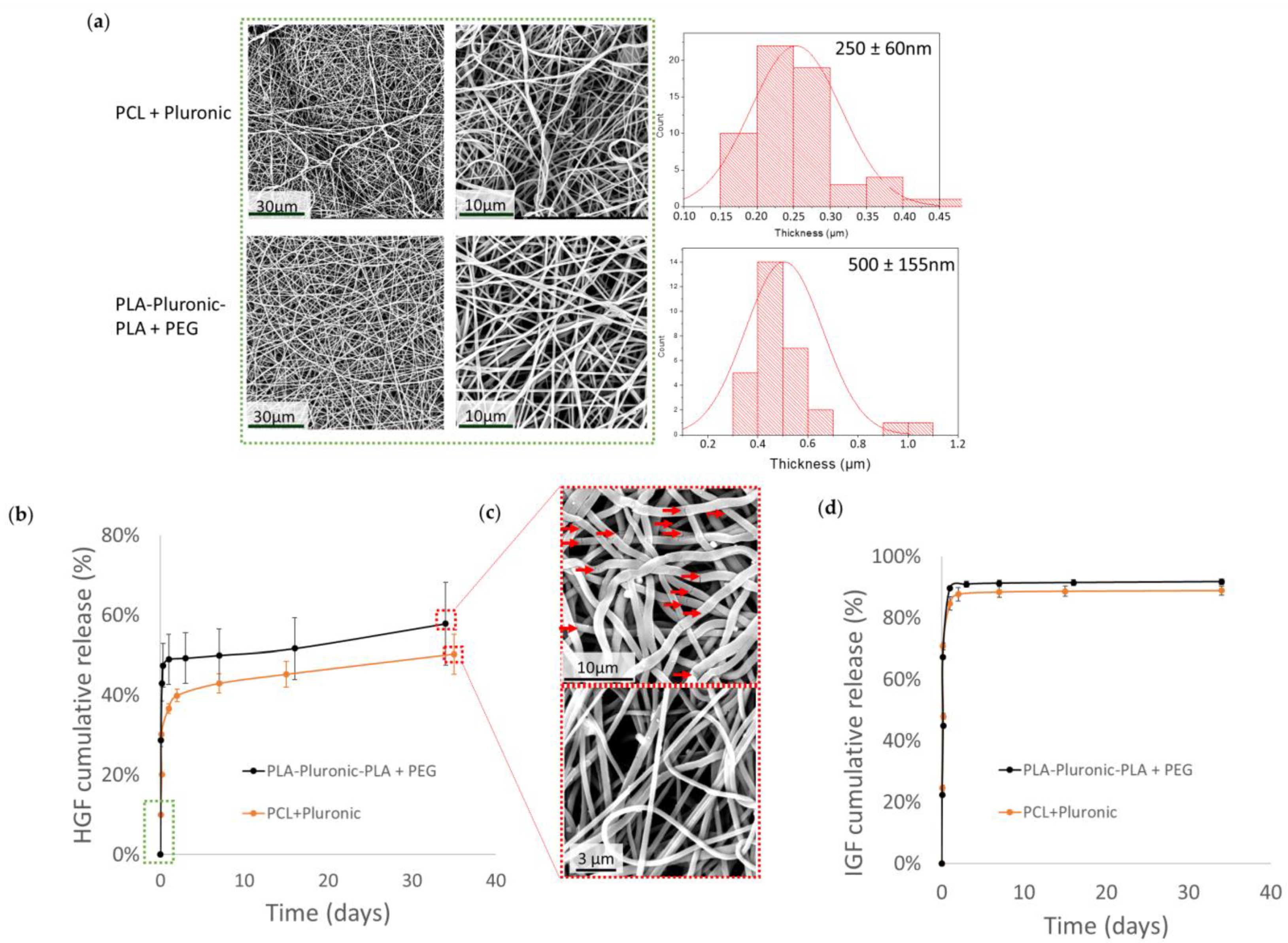 Pharmaceutics 14 01854 g002