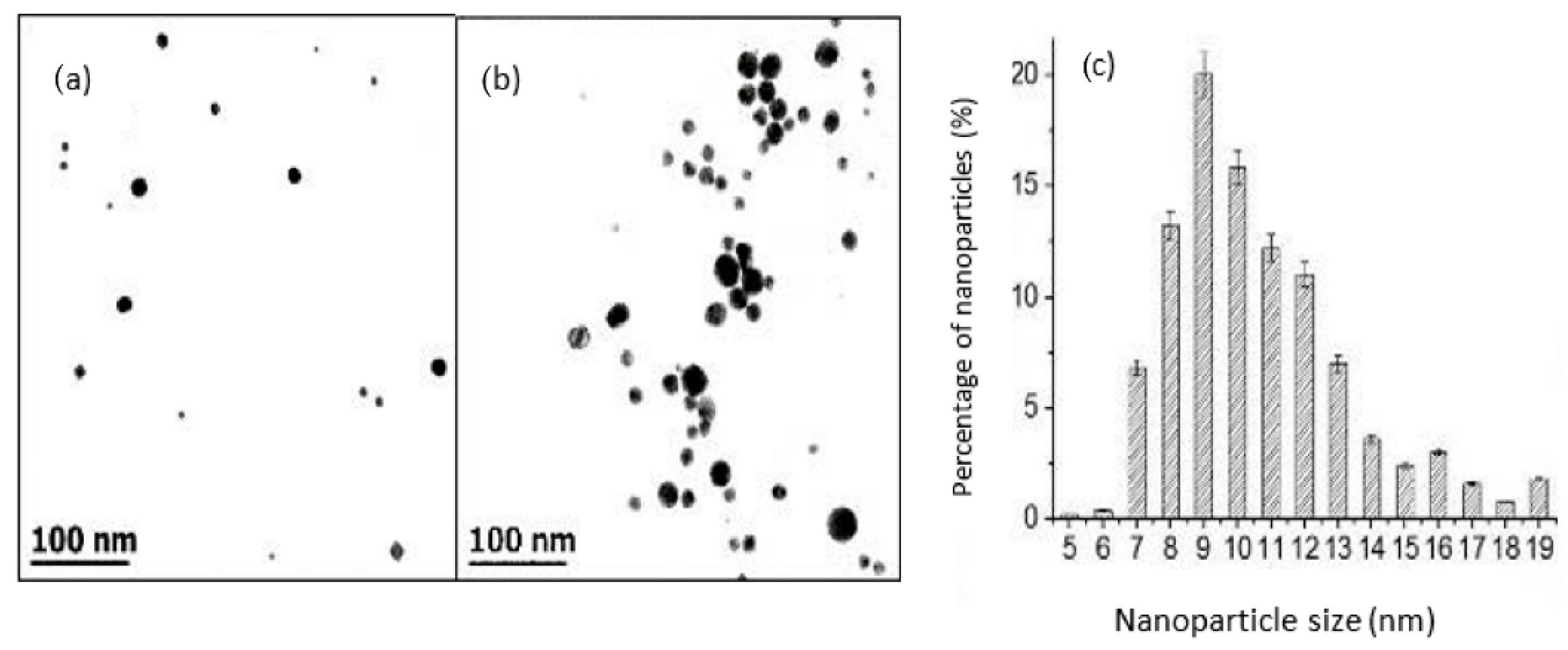 Pharmaceutics 14 01855 g003 Pharmaceutics 14 01855 g003