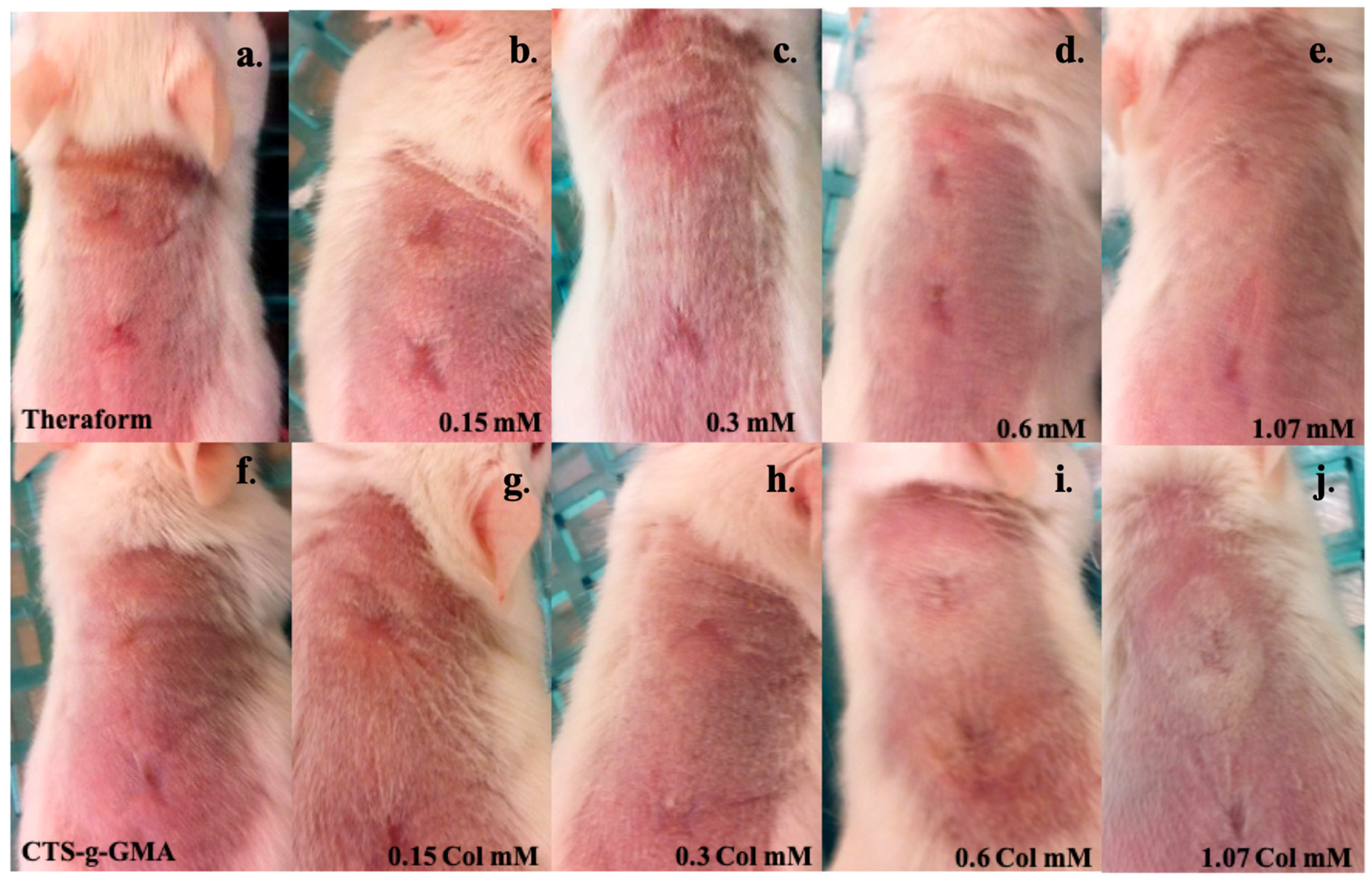 Pharmaceutics 14 01855 g011 Pharmaceutics 14 01855 g011