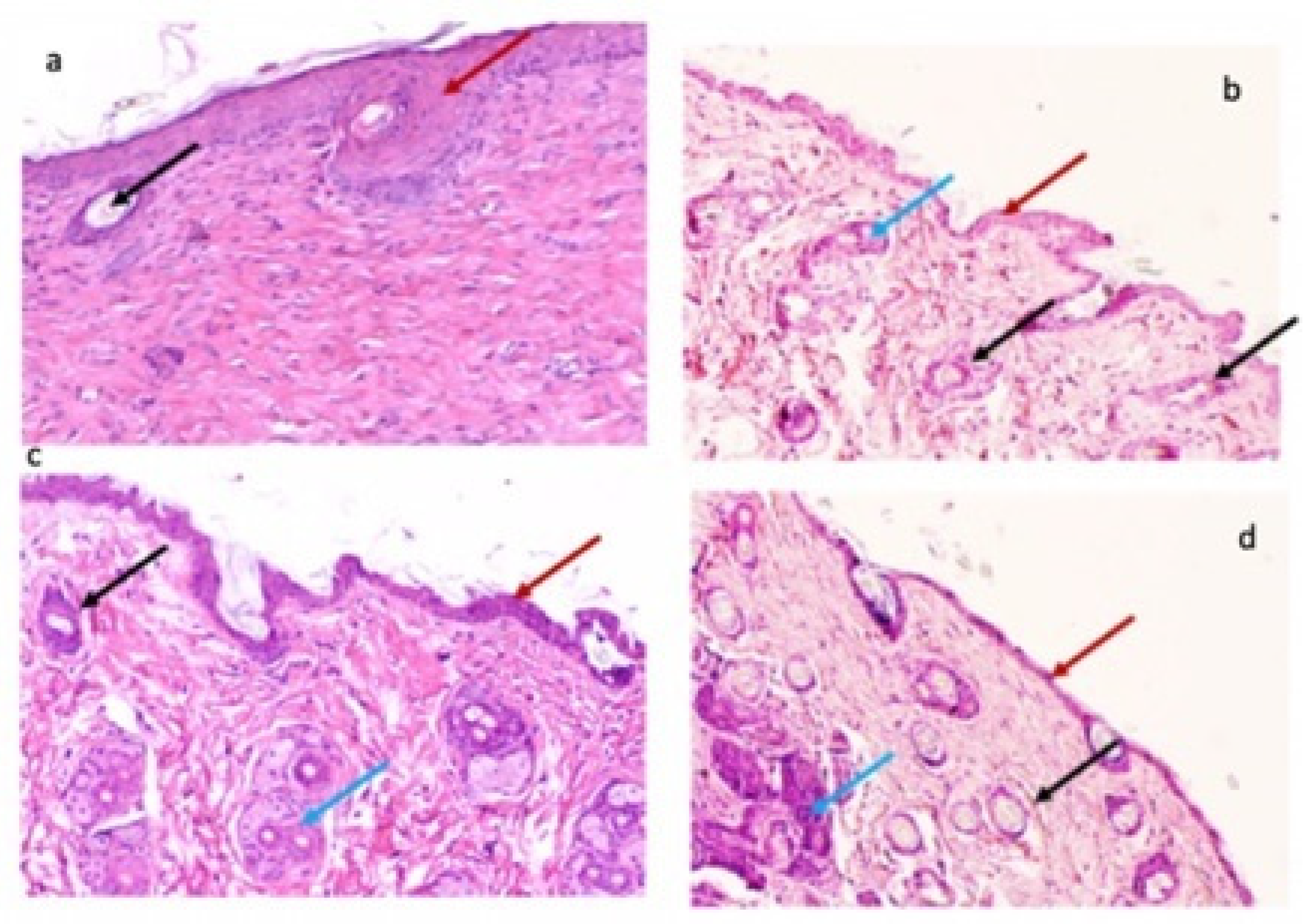 Pharmaceutics 14 01855 g012 Pharmaceutics 14 01855 g012