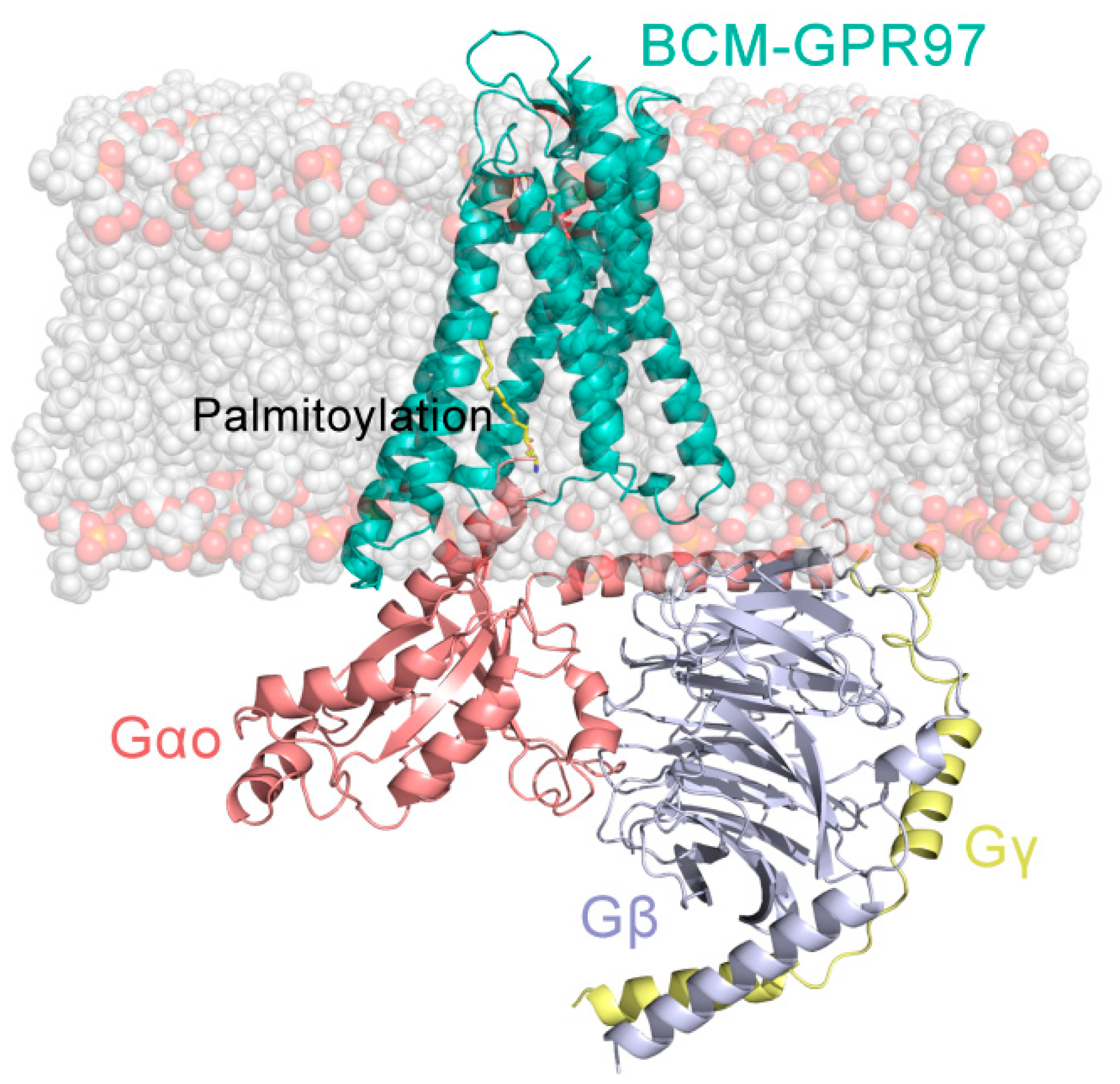 Pharmaceutics 14 01856 g001