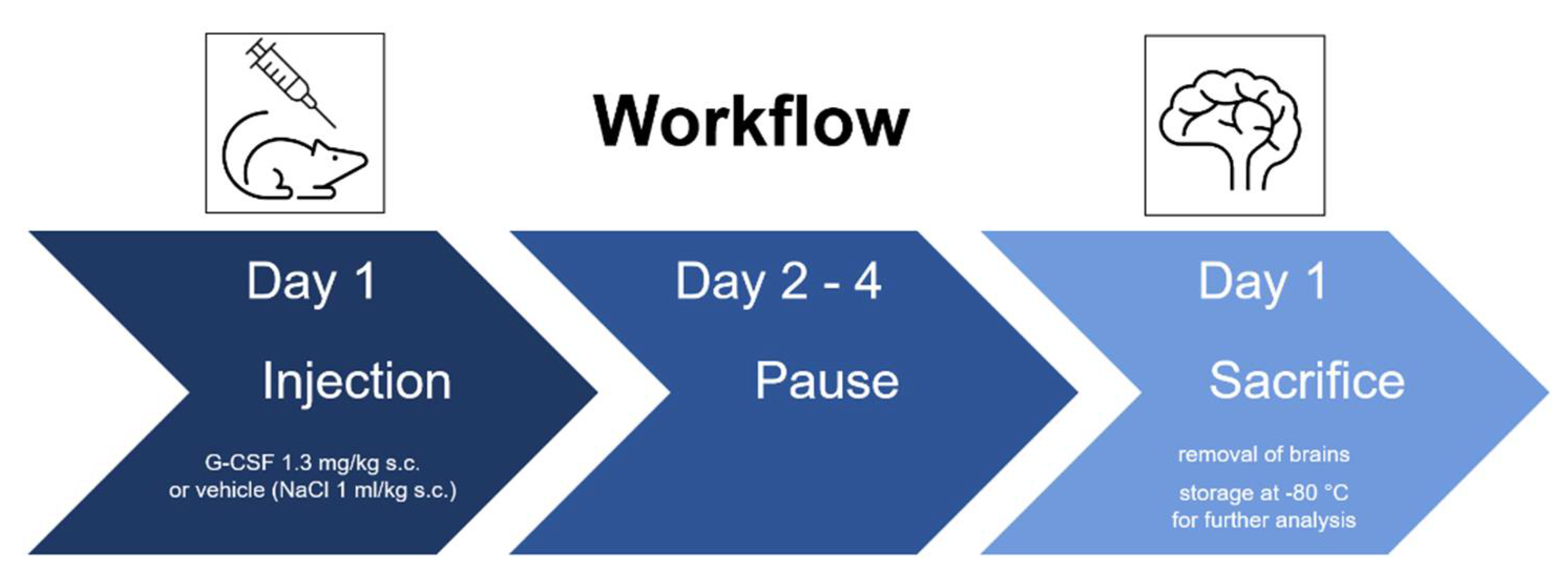 Pharmaceutics 14 01858 g001 Pharmaceutics 14 01858 g001