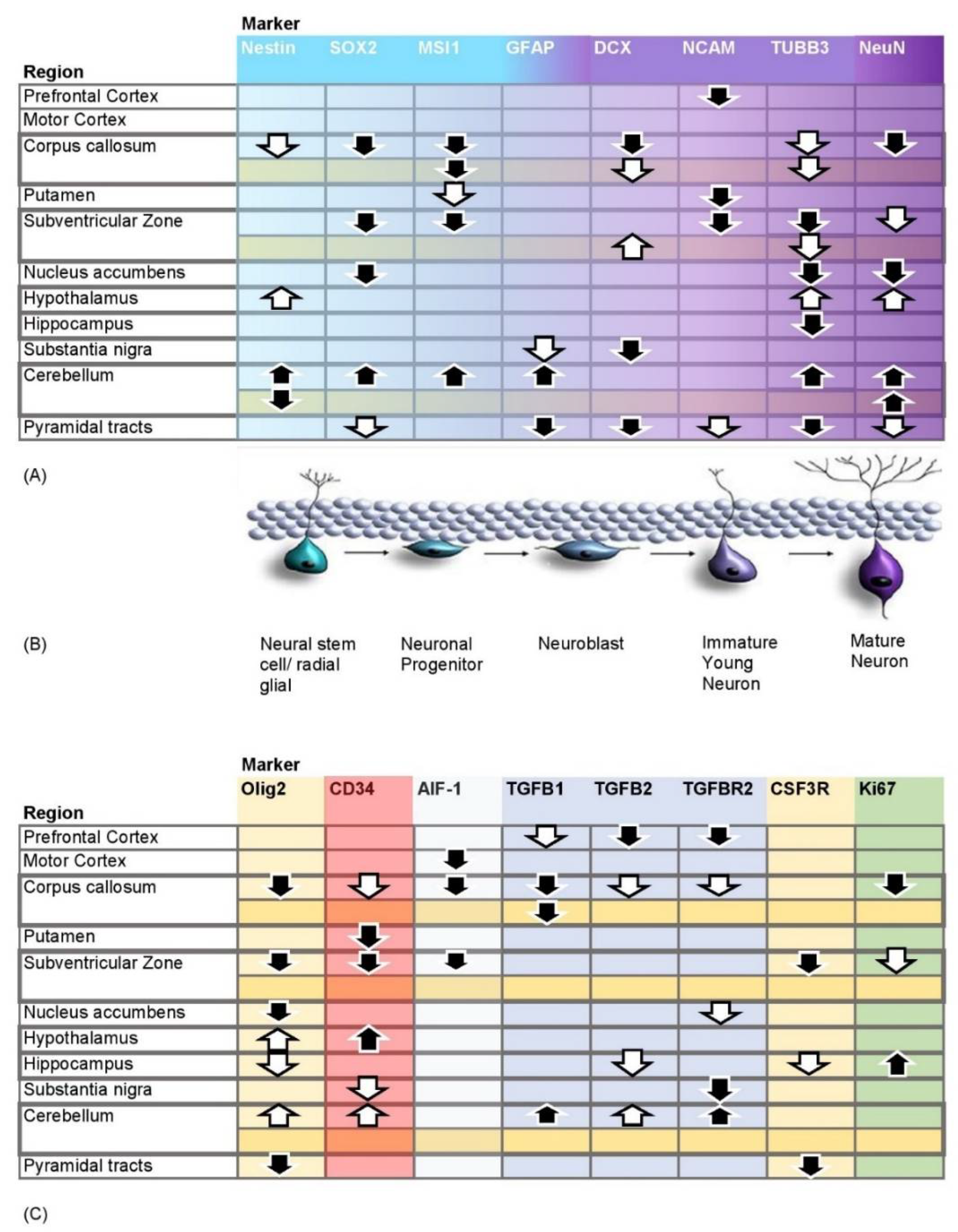 Pharmaceutics 14 01858 g002 Pharmaceutics 14 01858 g002