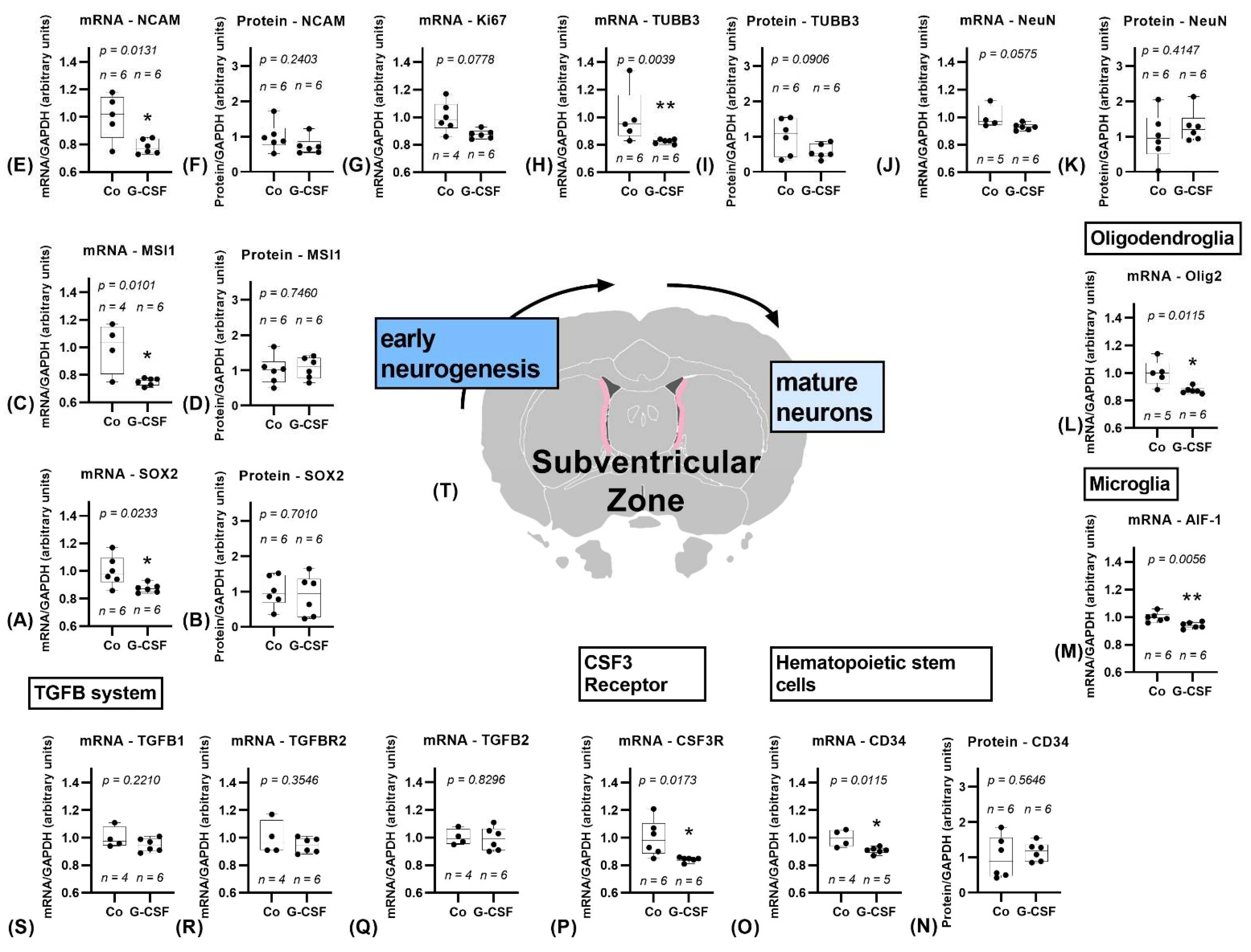 Pharmaceutics 14 01858 g003 Pharmaceutics 14 01858 g003