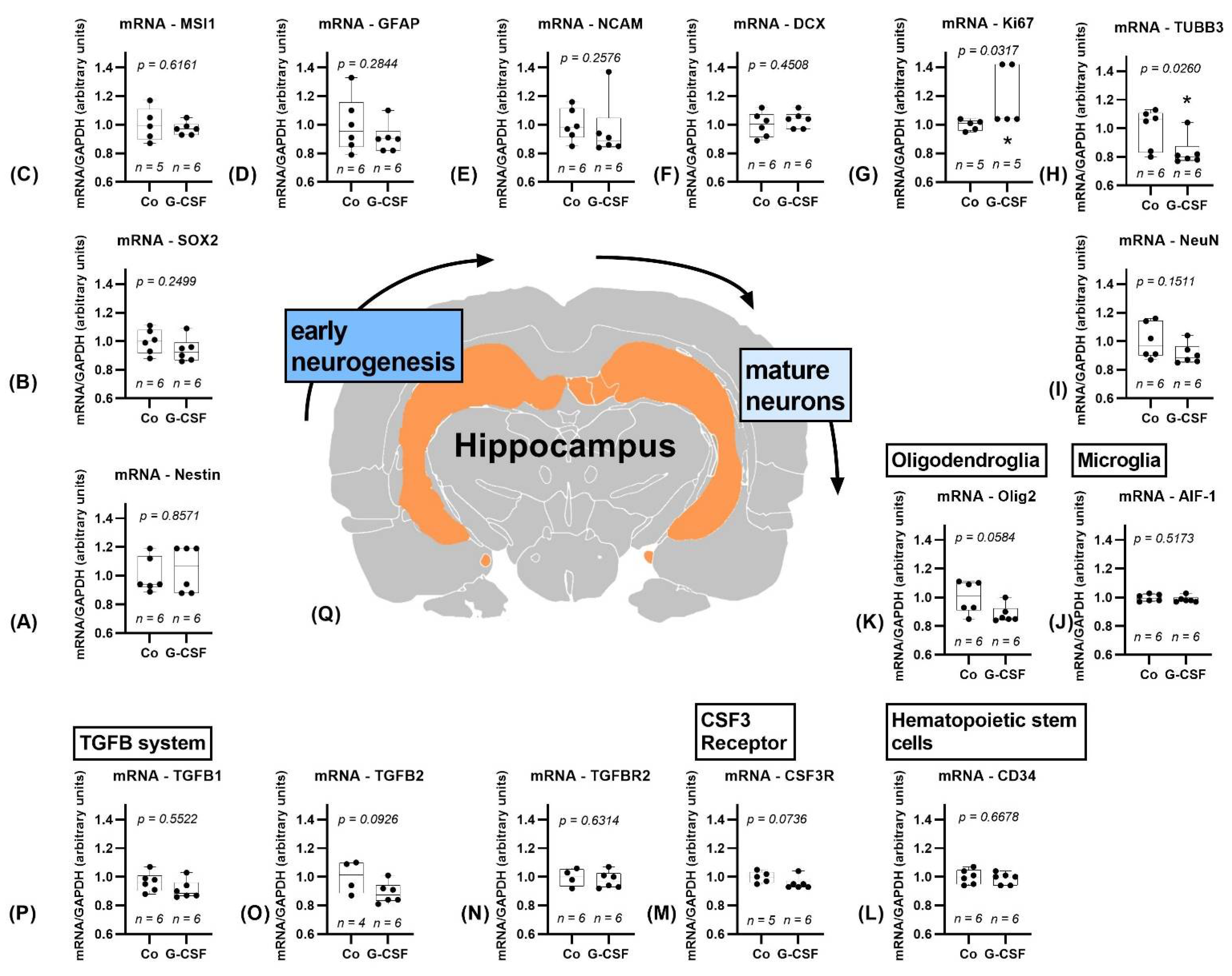 Pharmaceutics 14 01858 g004 Pharmaceutics 14 01858 g004