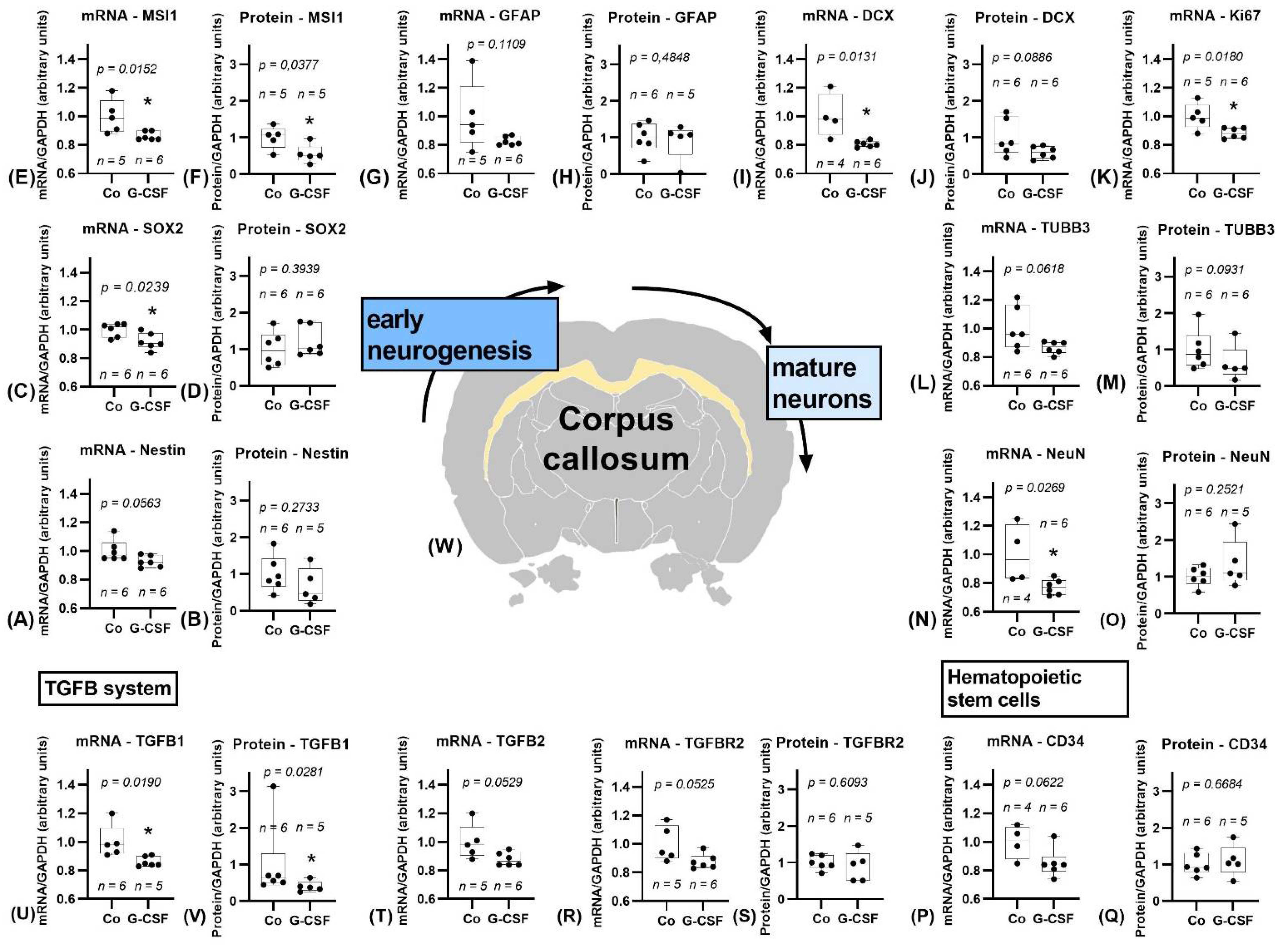 Pharmaceutics 14 01858 g005 Pharmaceutics 14 01858 g005
