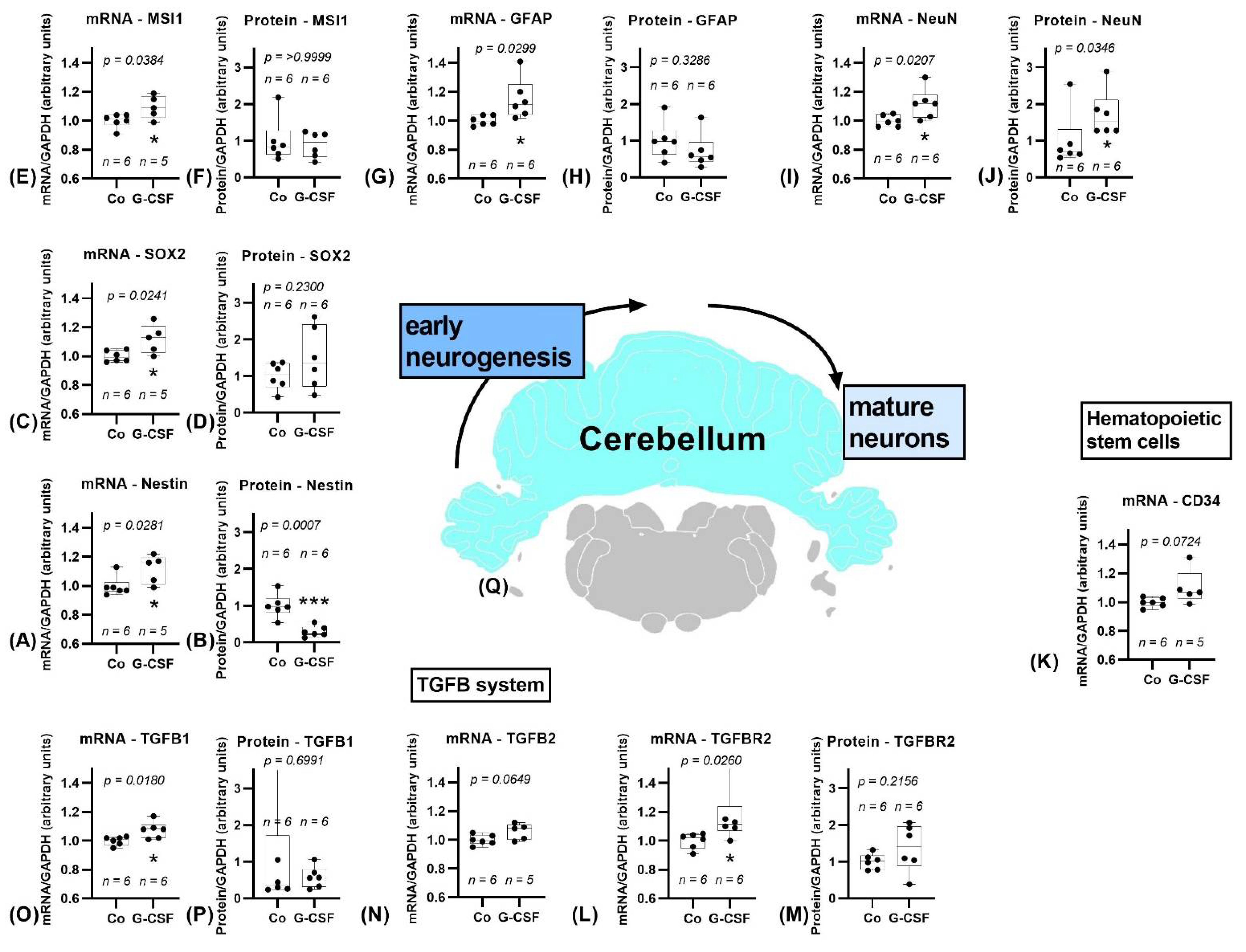 Pharmaceutics 14 01858 g006 Pharmaceutics 14 01858 g006