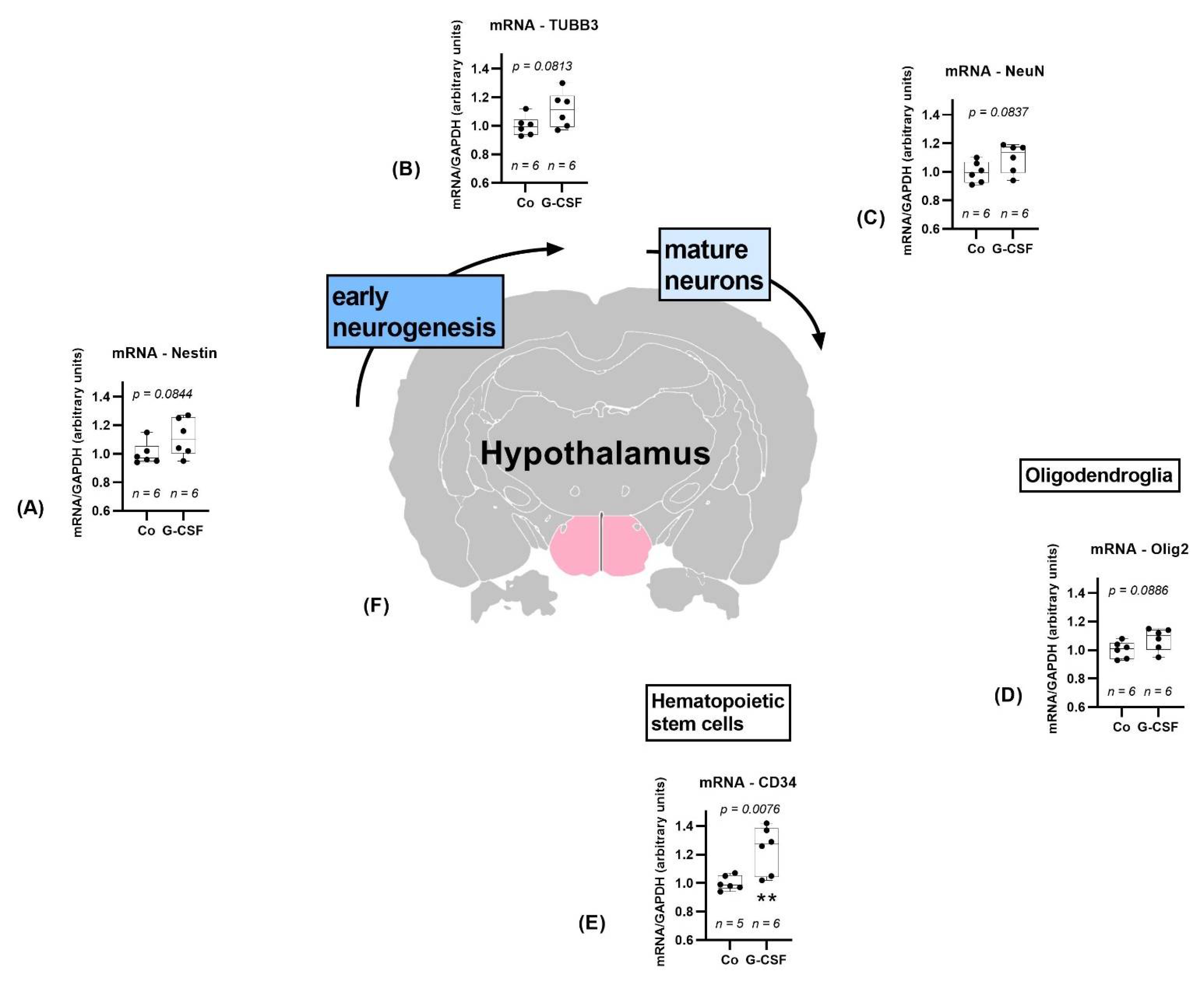 Pharmaceutics 14 01858 g007 Pharmaceutics 14 01858 g007