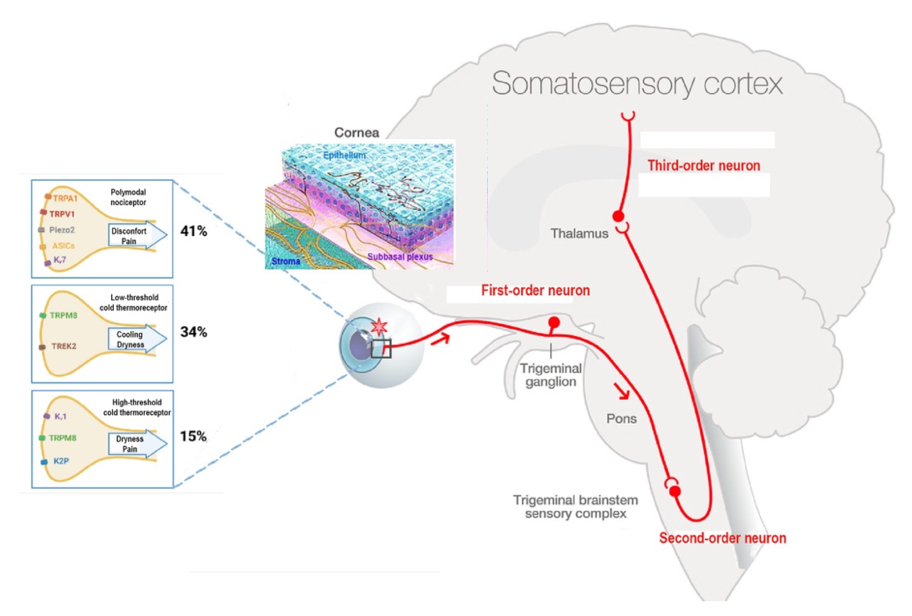 Pharmaceutics 14 01859 g001 Pharmaceutics 14 01859 g001