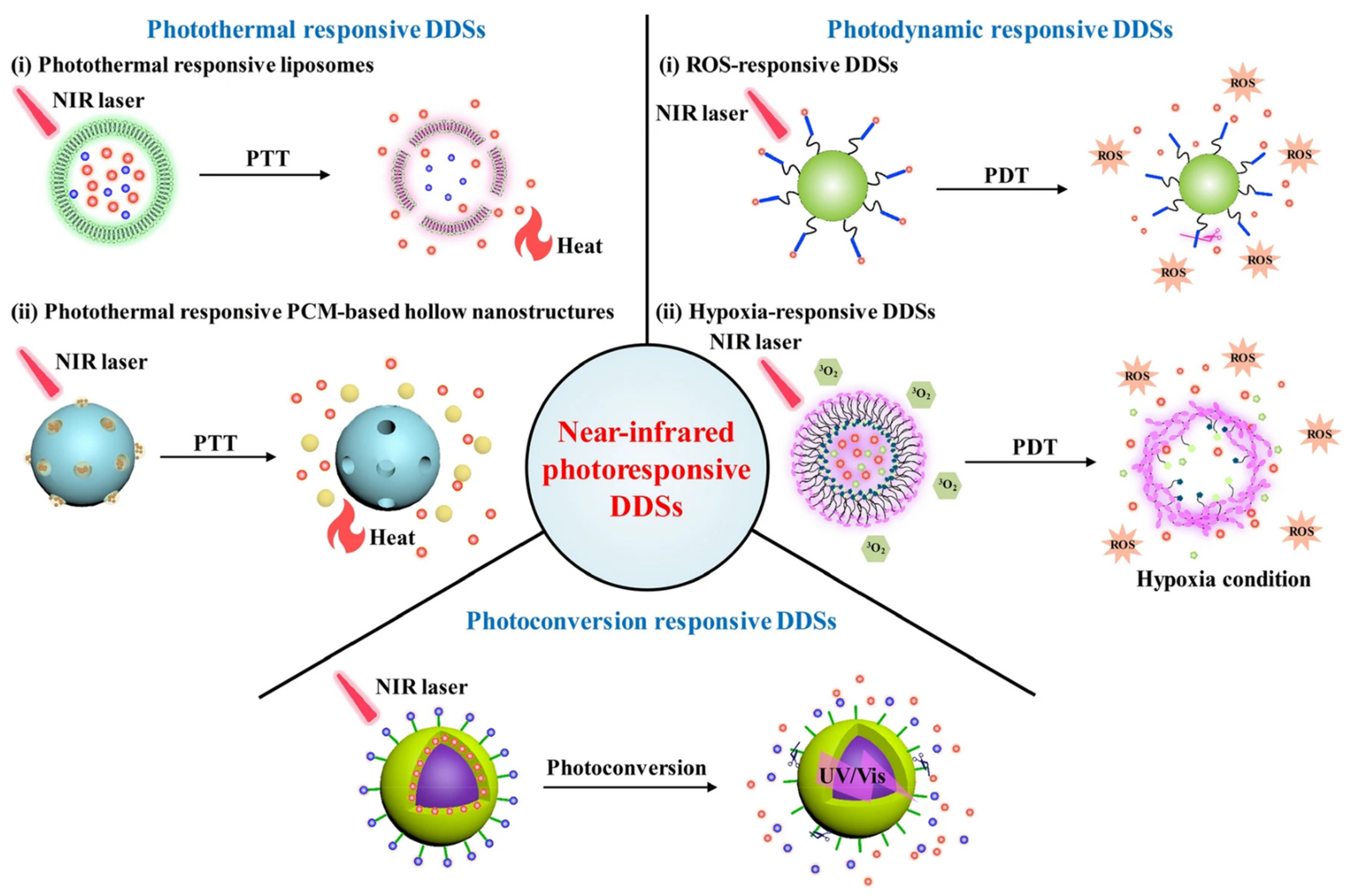 Pharmaceutics 14 01860 g004 550