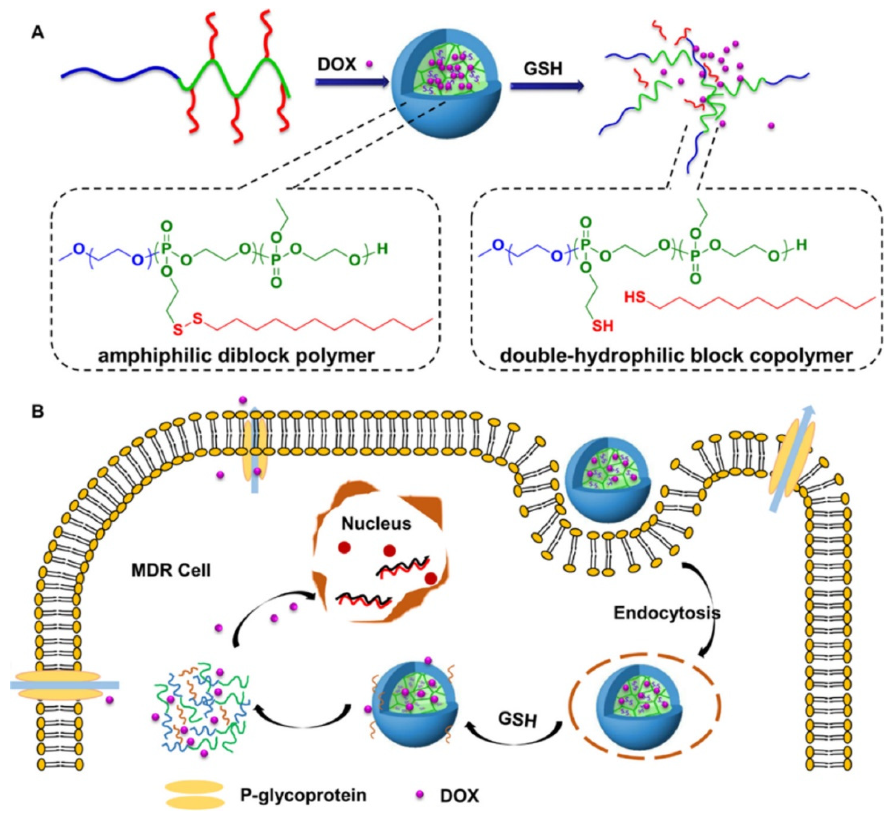 Pharmaceutics 14 01860 g005 550