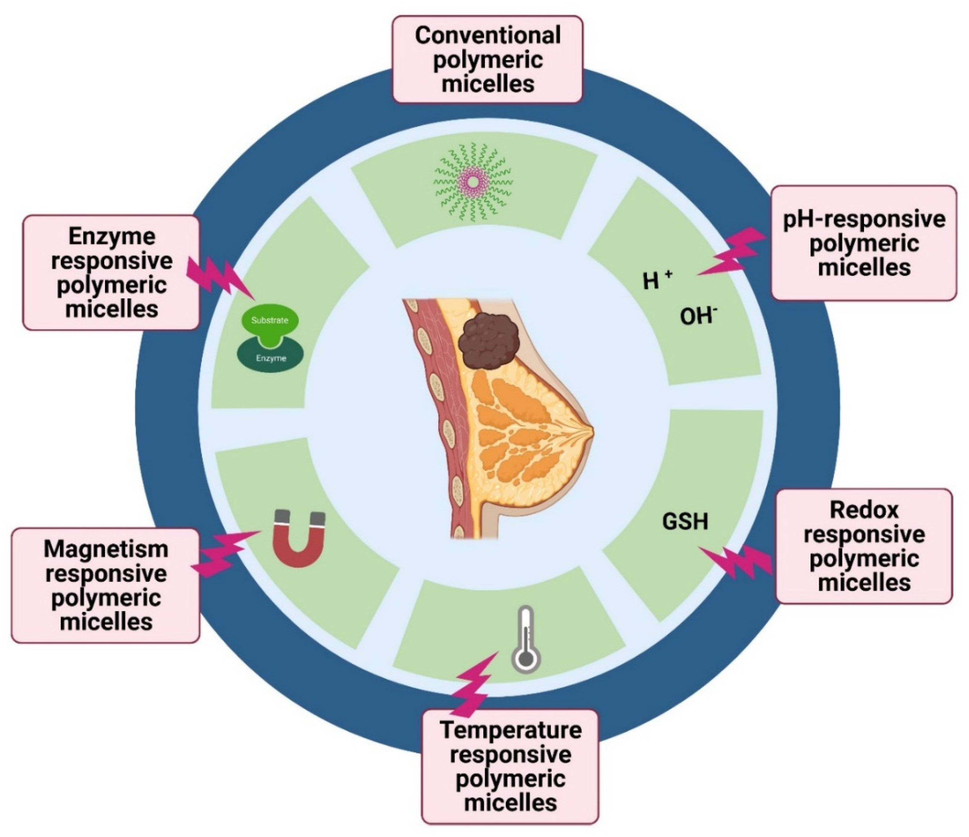 Pharmaceutics 14 01860 g006 550