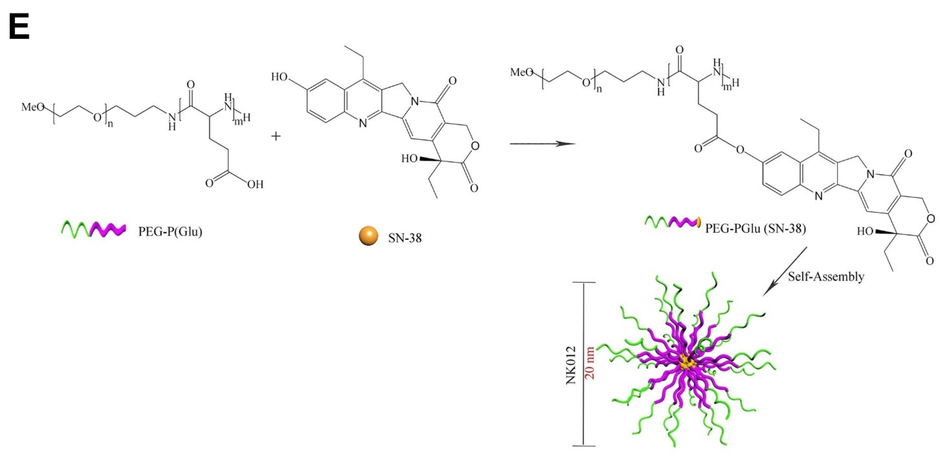 Pharmaceutics 14 01860 g007b 550