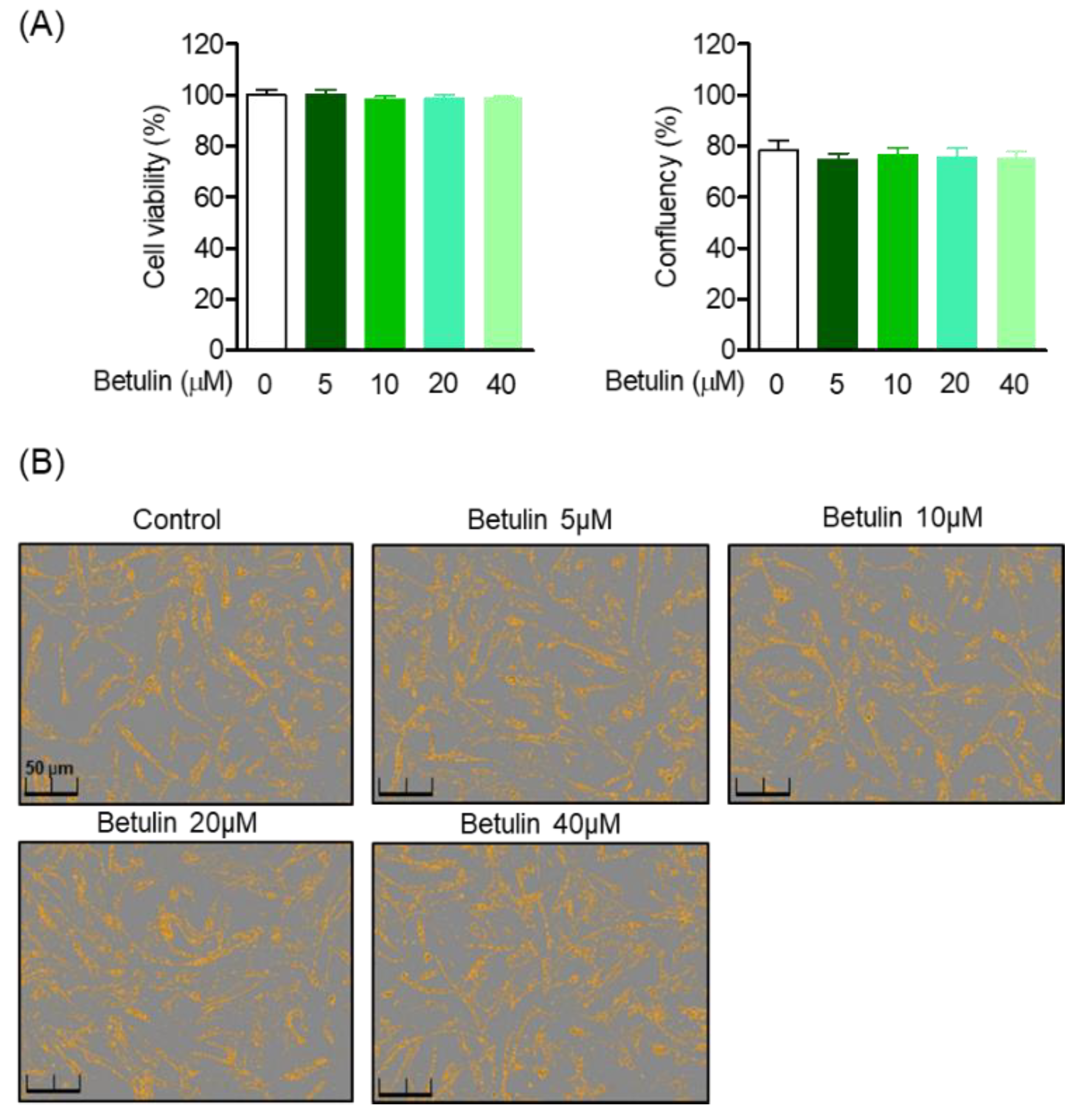Pharmaceutics 14 01868 g002 Pharmaceutics 14 01868 g002