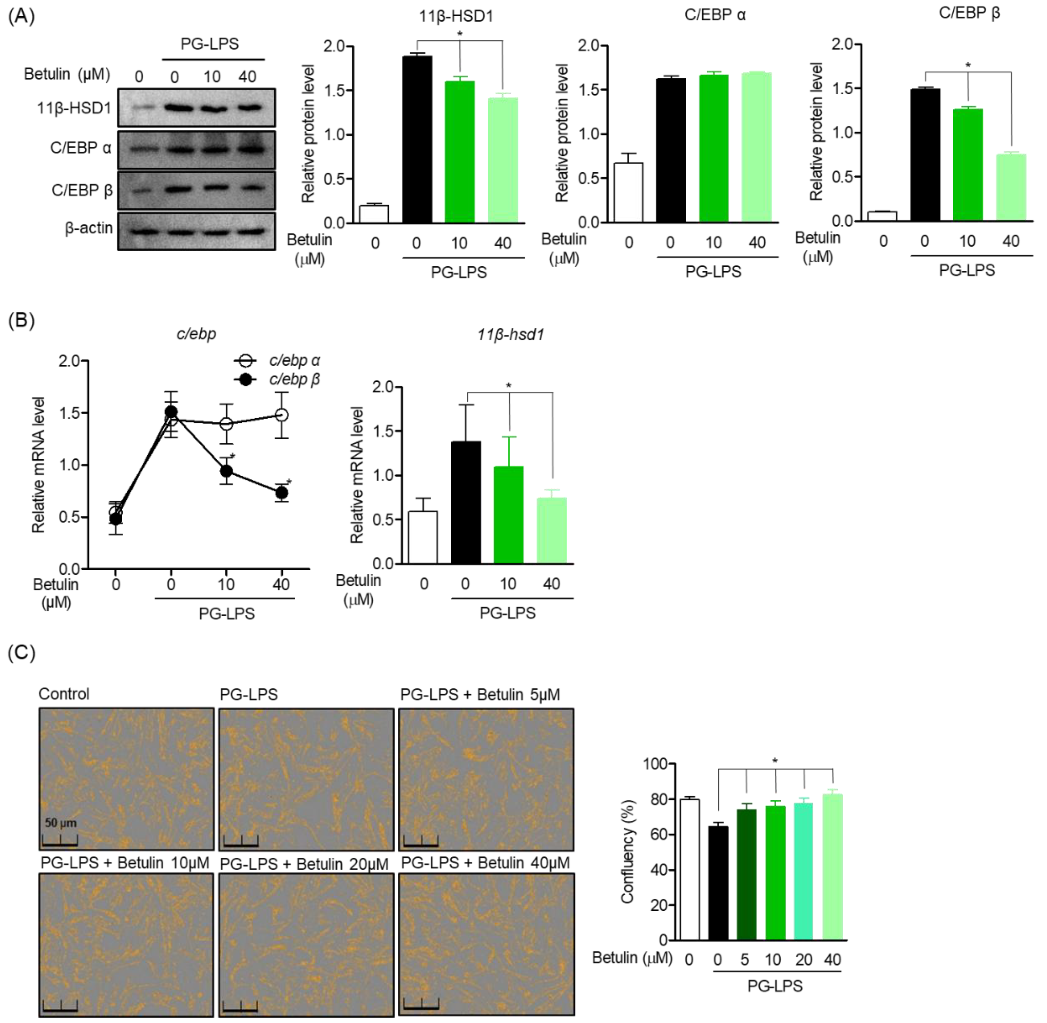 Pharmaceutics 14 01868 g003 Pharmaceutics 14 01868 g003