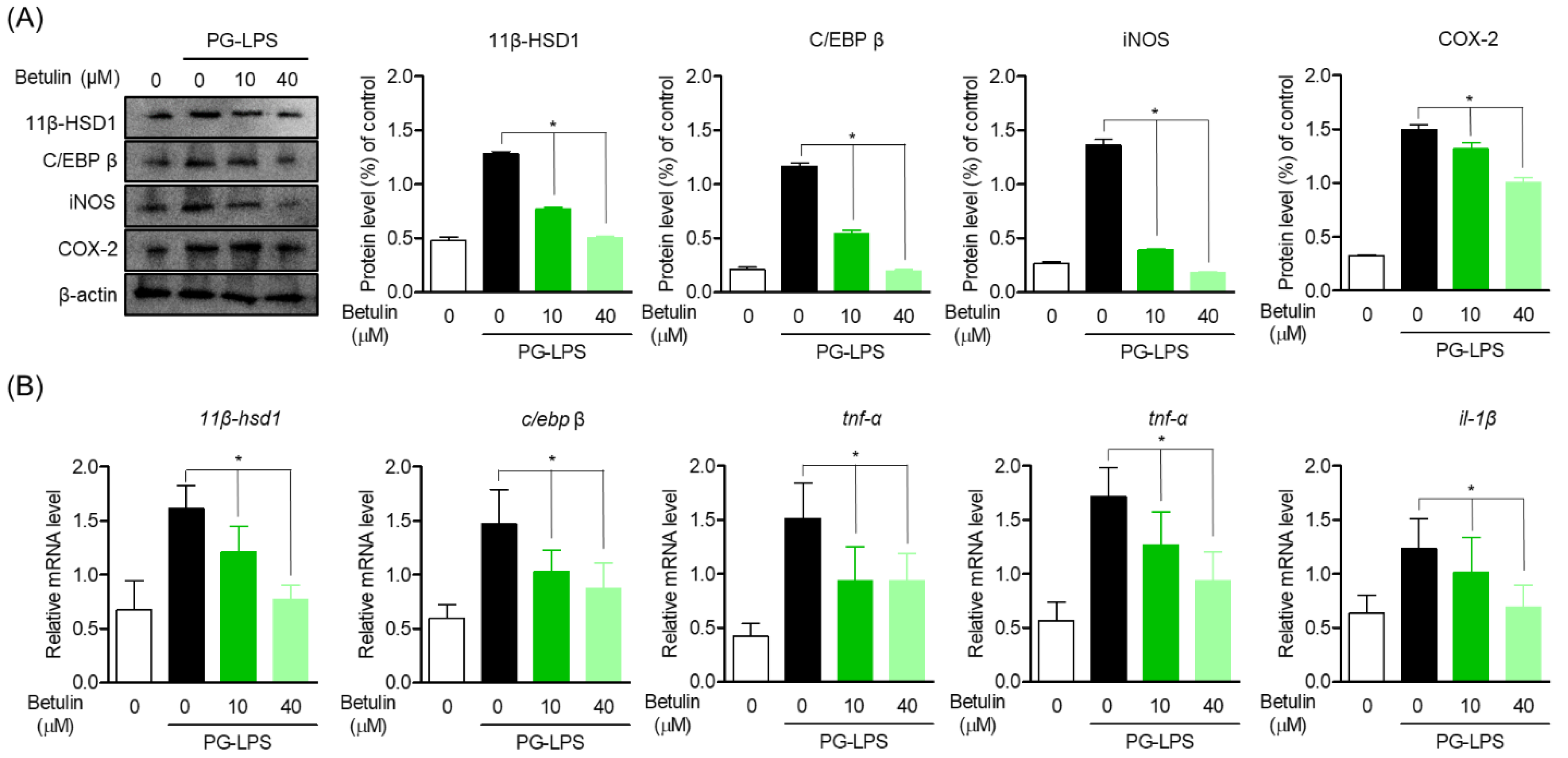 Pharmaceutics 14 01868 g004 Pharmaceutics 14 01868 g004