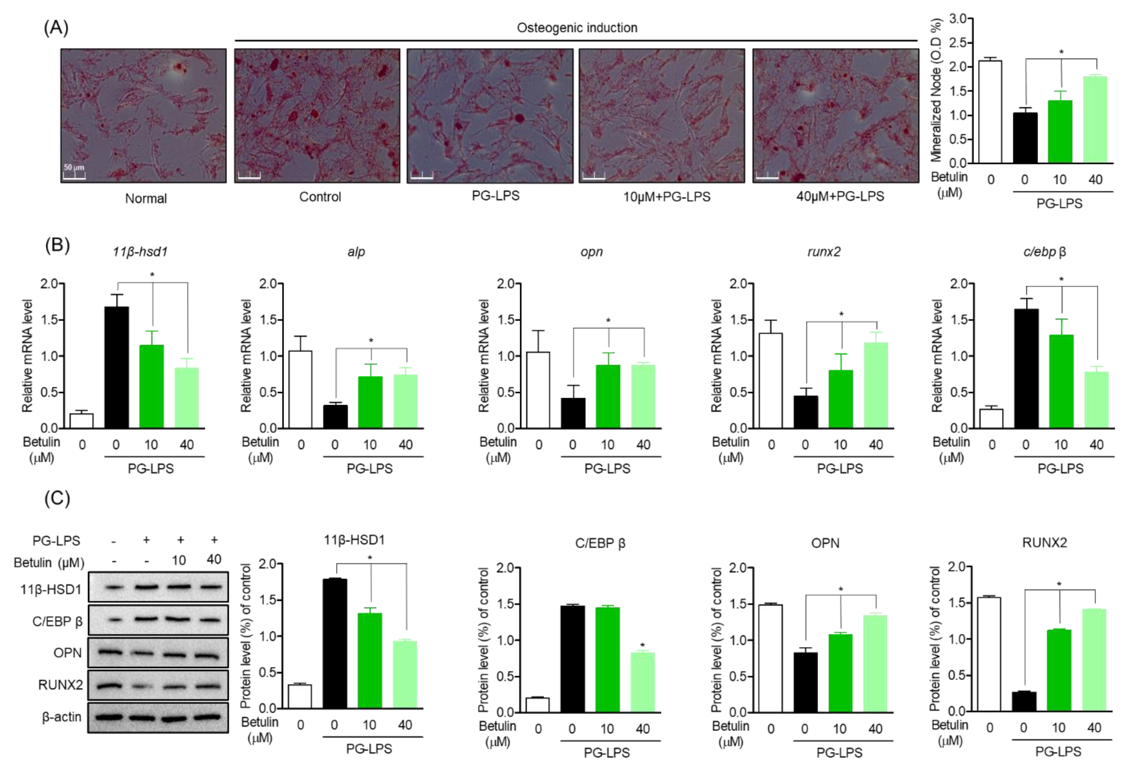 Pharmaceutics 14 01868 g005 Pharmaceutics 14 01868 g005