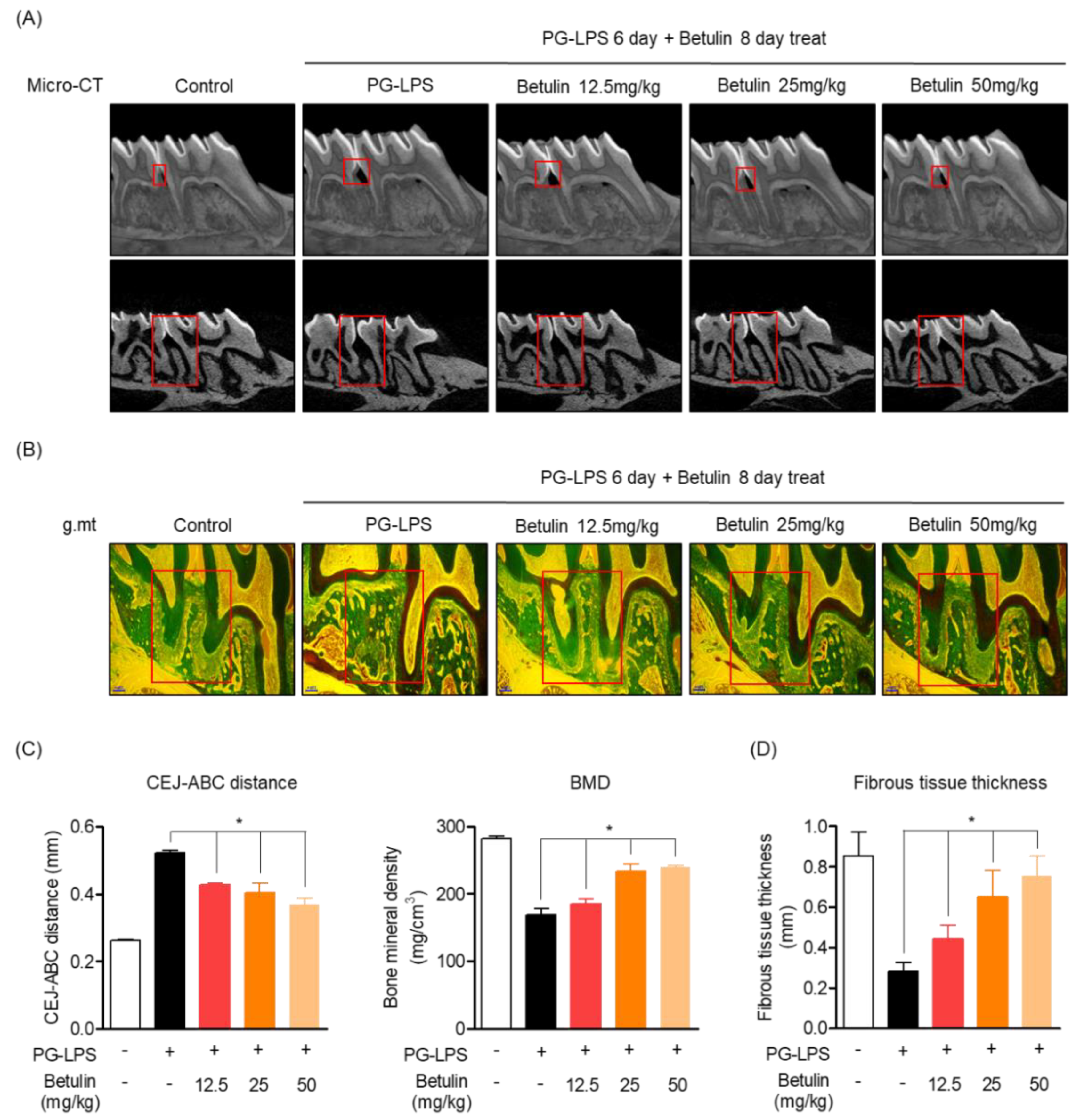 Pharmaceutics 14 01868 g006 Pharmaceutics 14 01868 g006