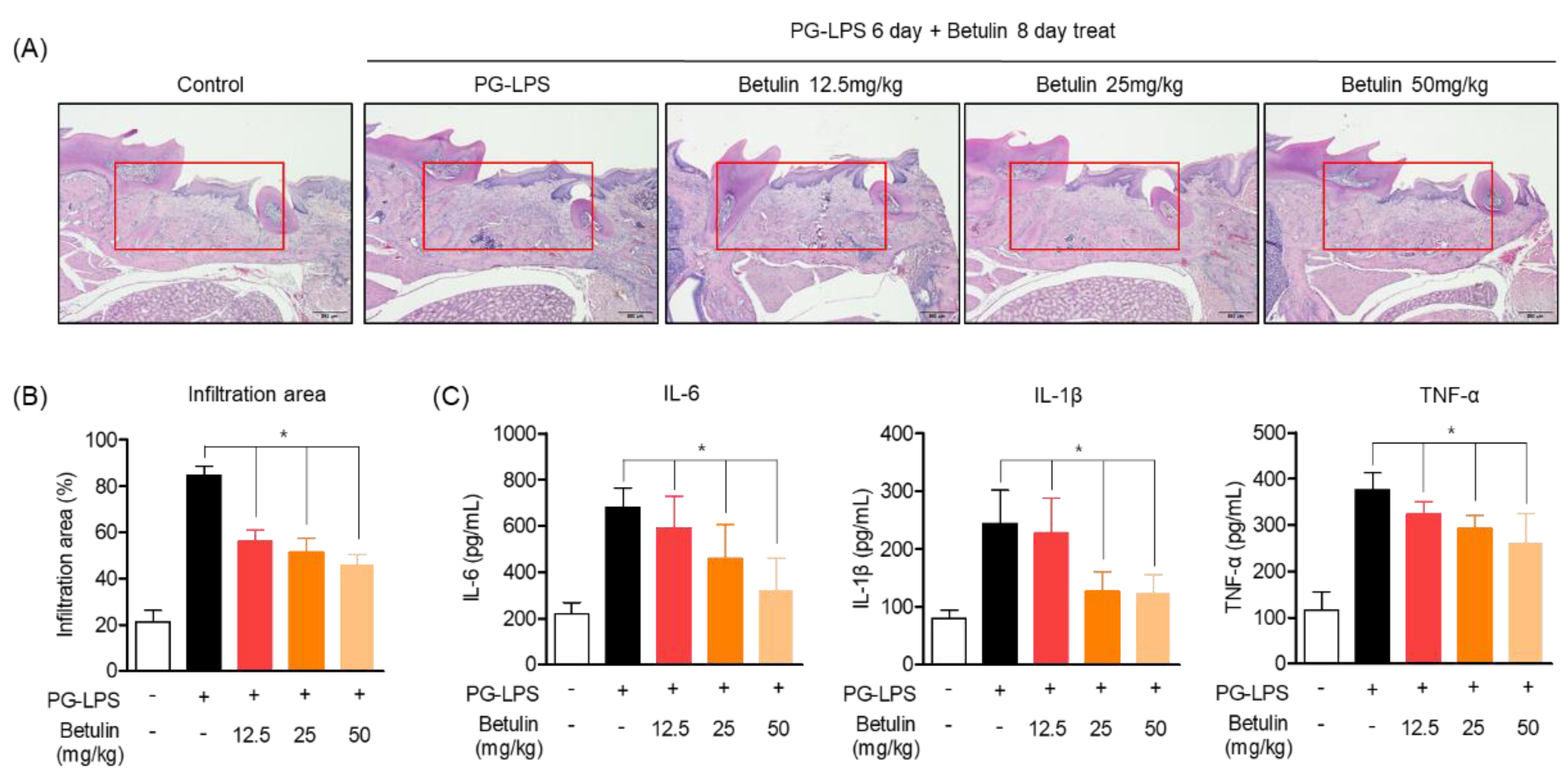 Pharmaceutics 14 01868 g007 Pharmaceutics 14 01868 g007