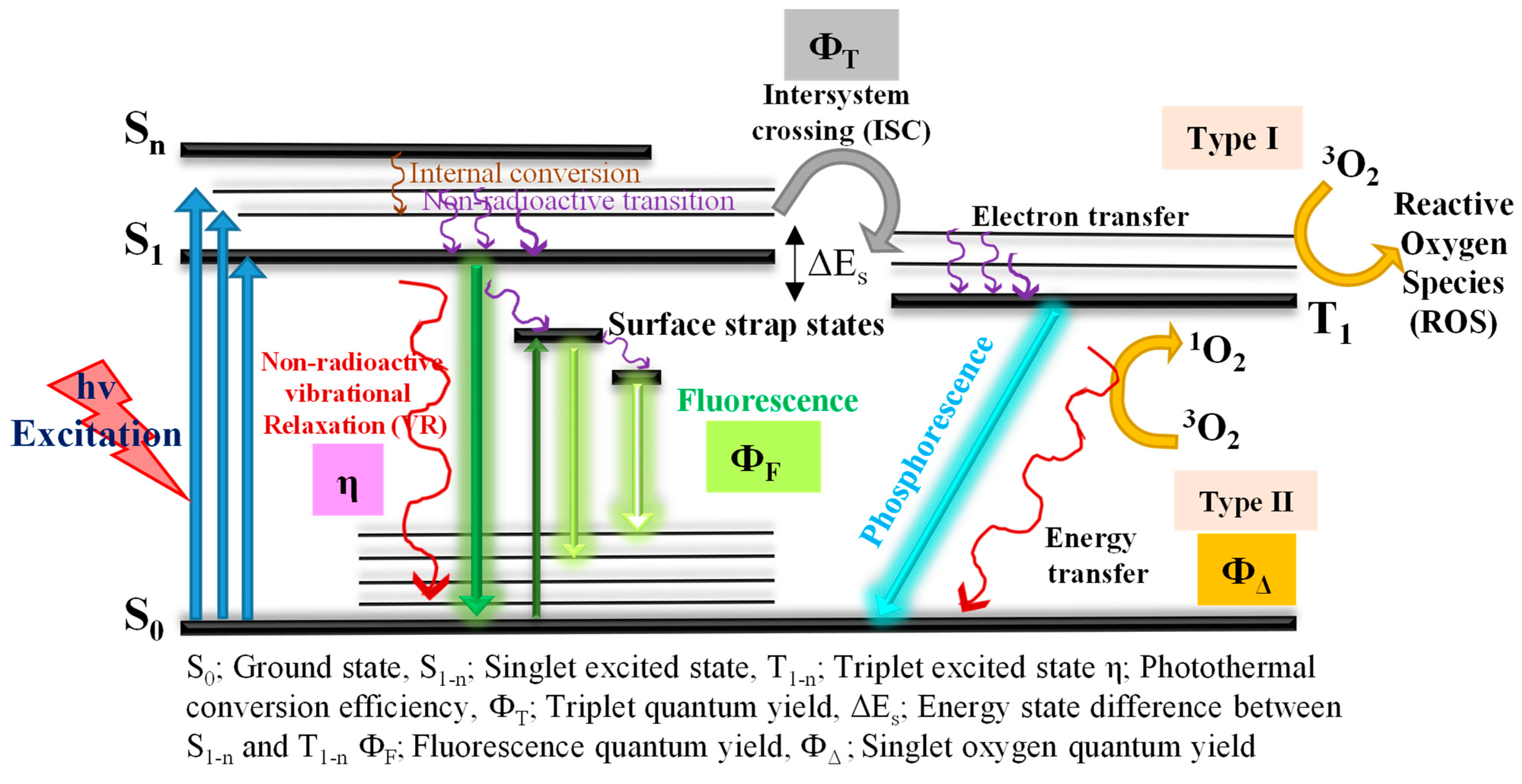 Pharmaceutics 14 01869 g001