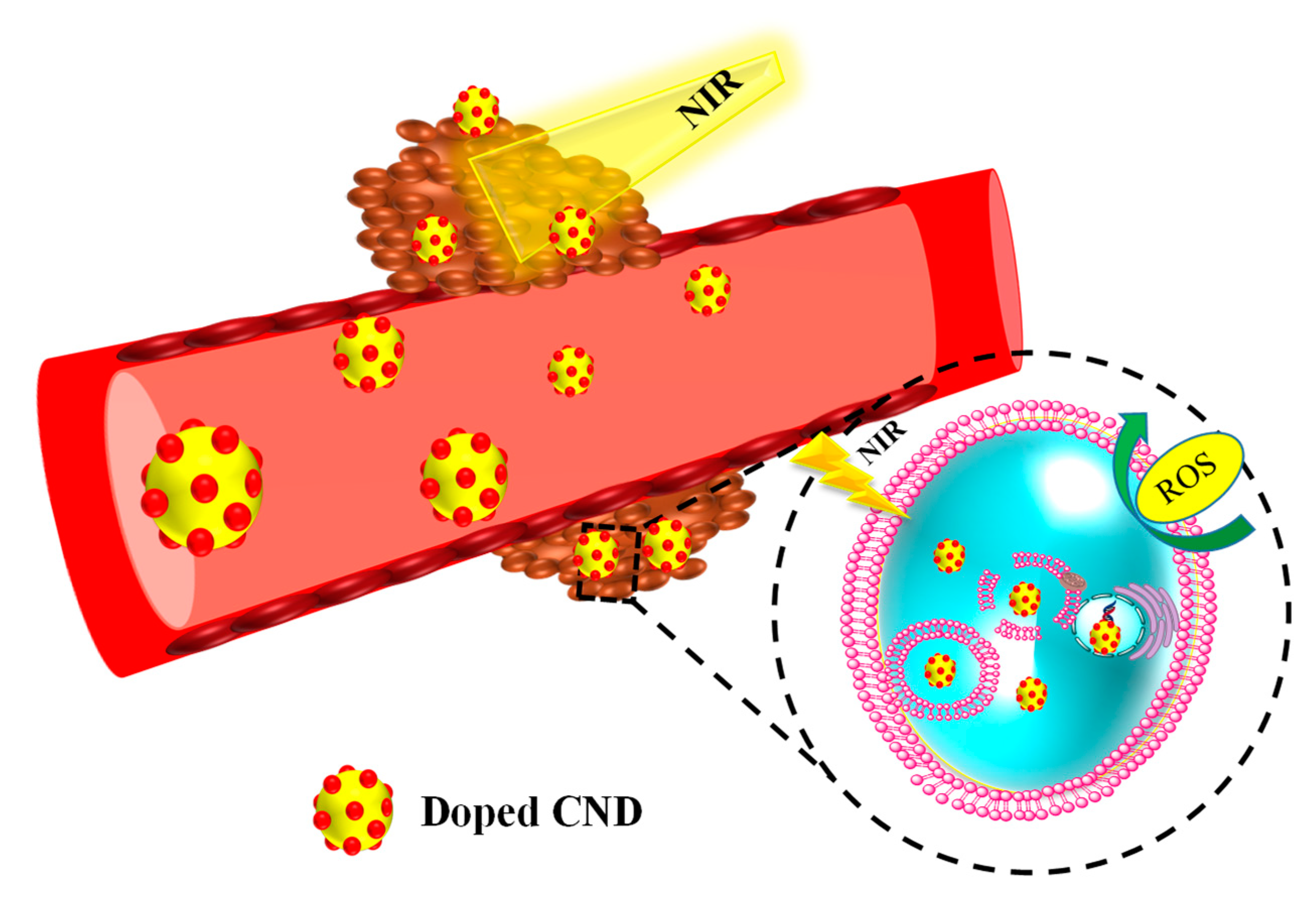Pharmaceutics 14 01869 g002
