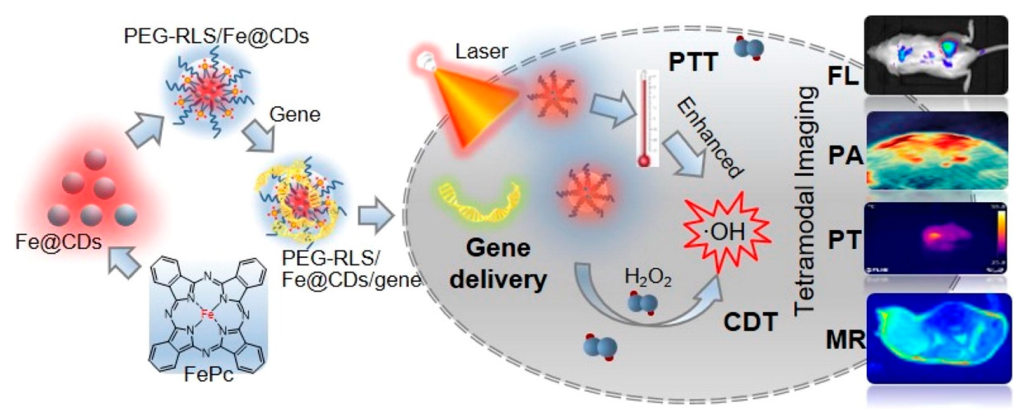 Pharmaceutics 14 01869 g004