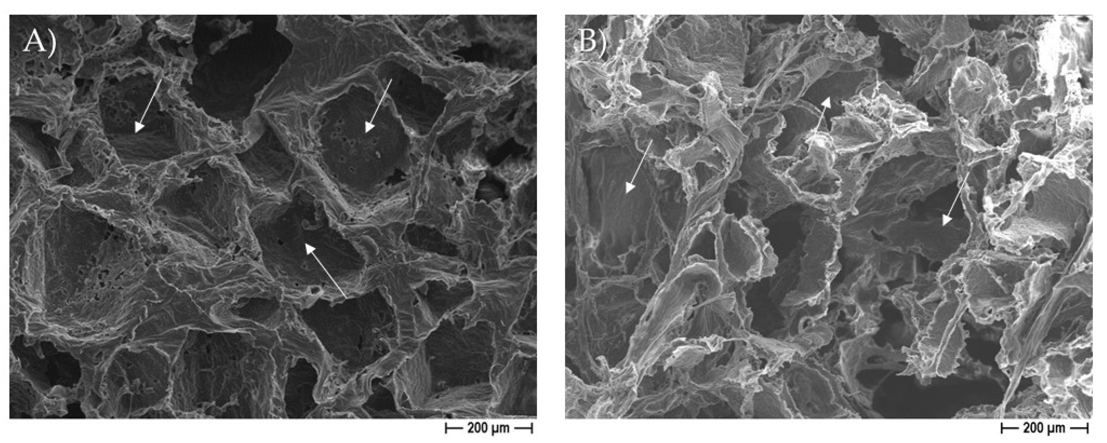 Pharmaceutics 14 01873 g003 550