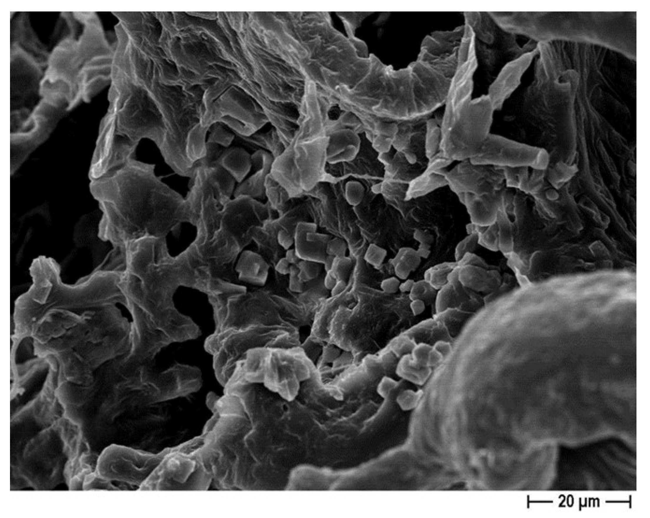 Pharmaceutics 14 01873 g008 550