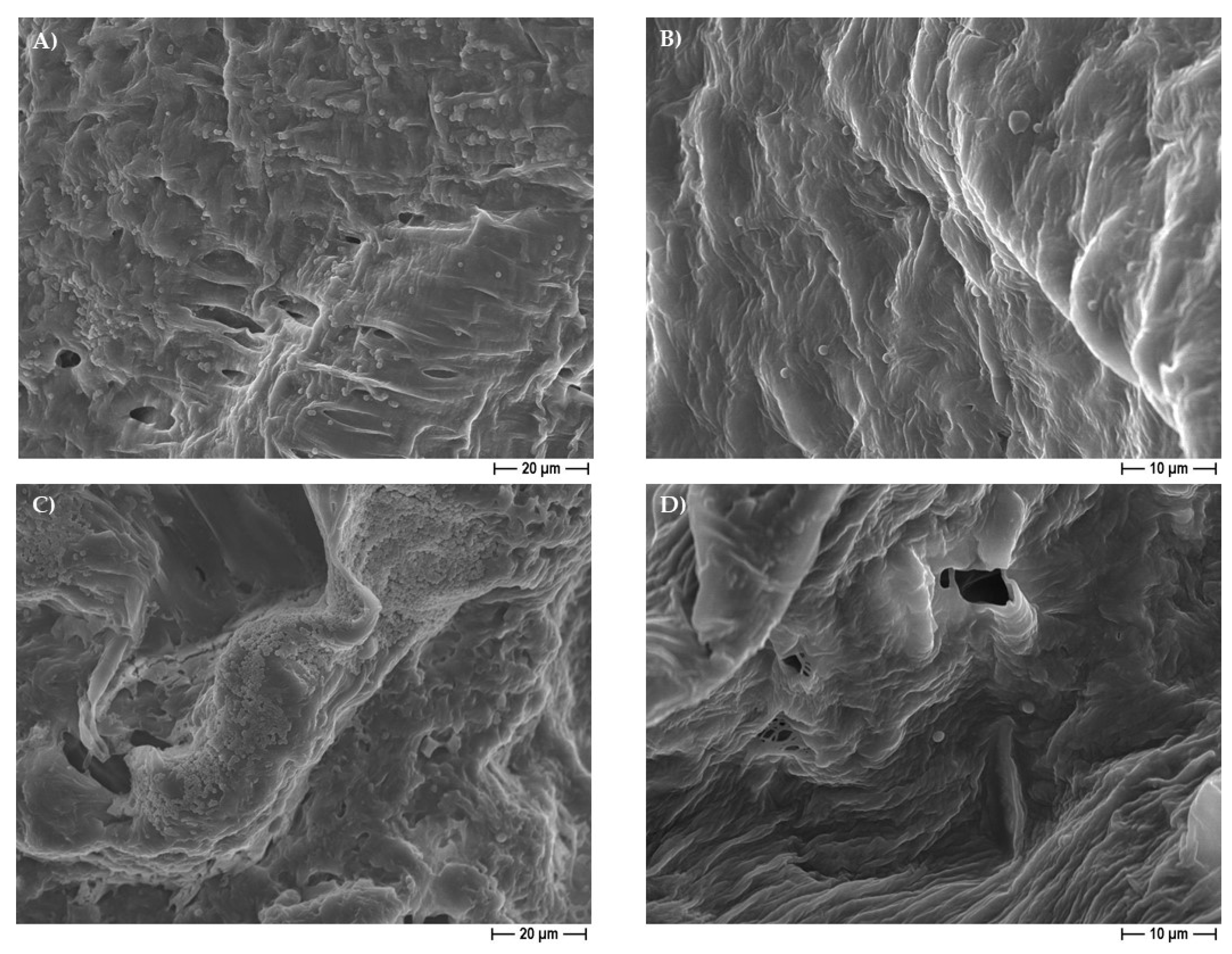 Pharmaceutics 14 01873 g012 550