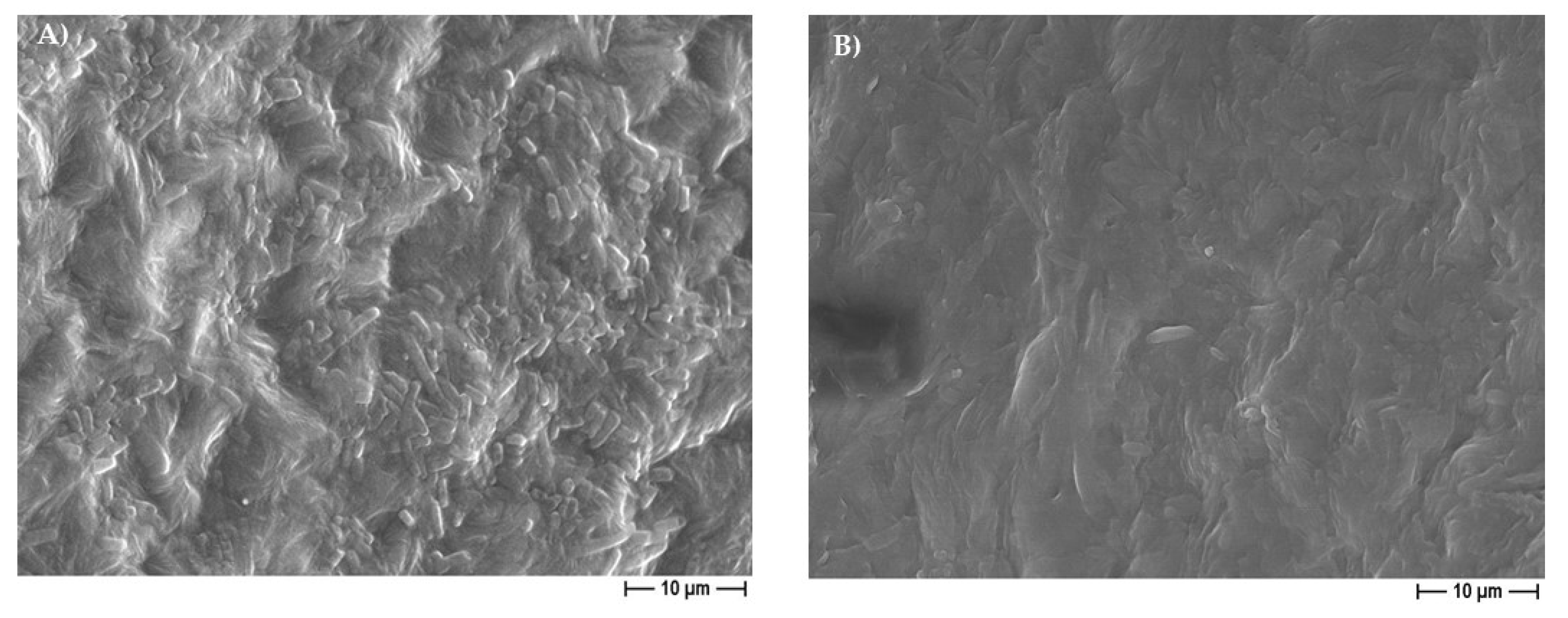 Pharmaceutics 14 01873 g013 550