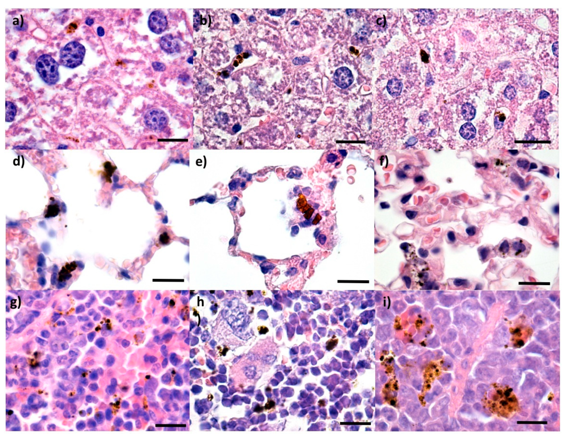 Pharmaceutics 14 01877 g006