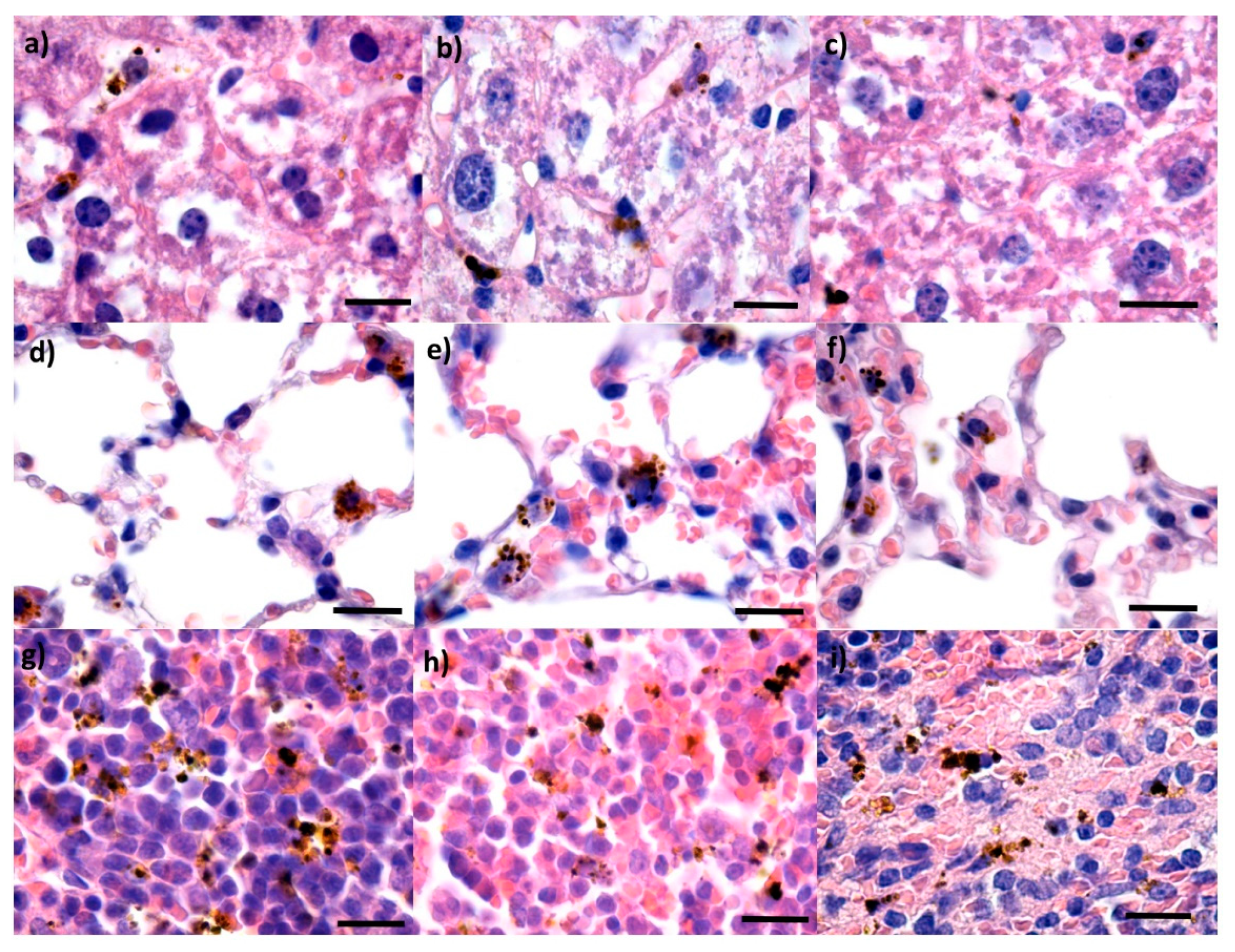 Pharmaceutics 14 01877 g007