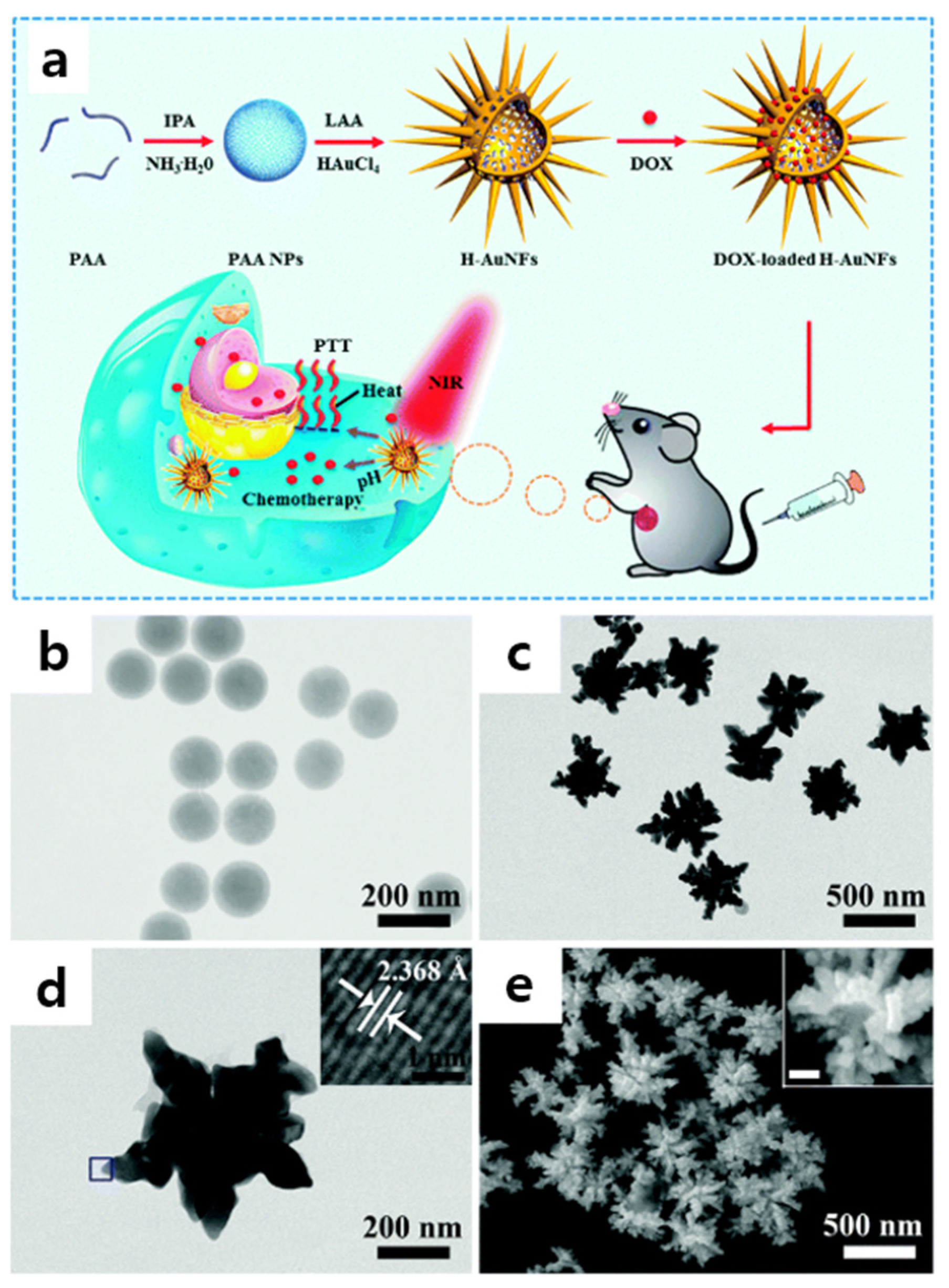 Pharmaceutics 14 01887 g002