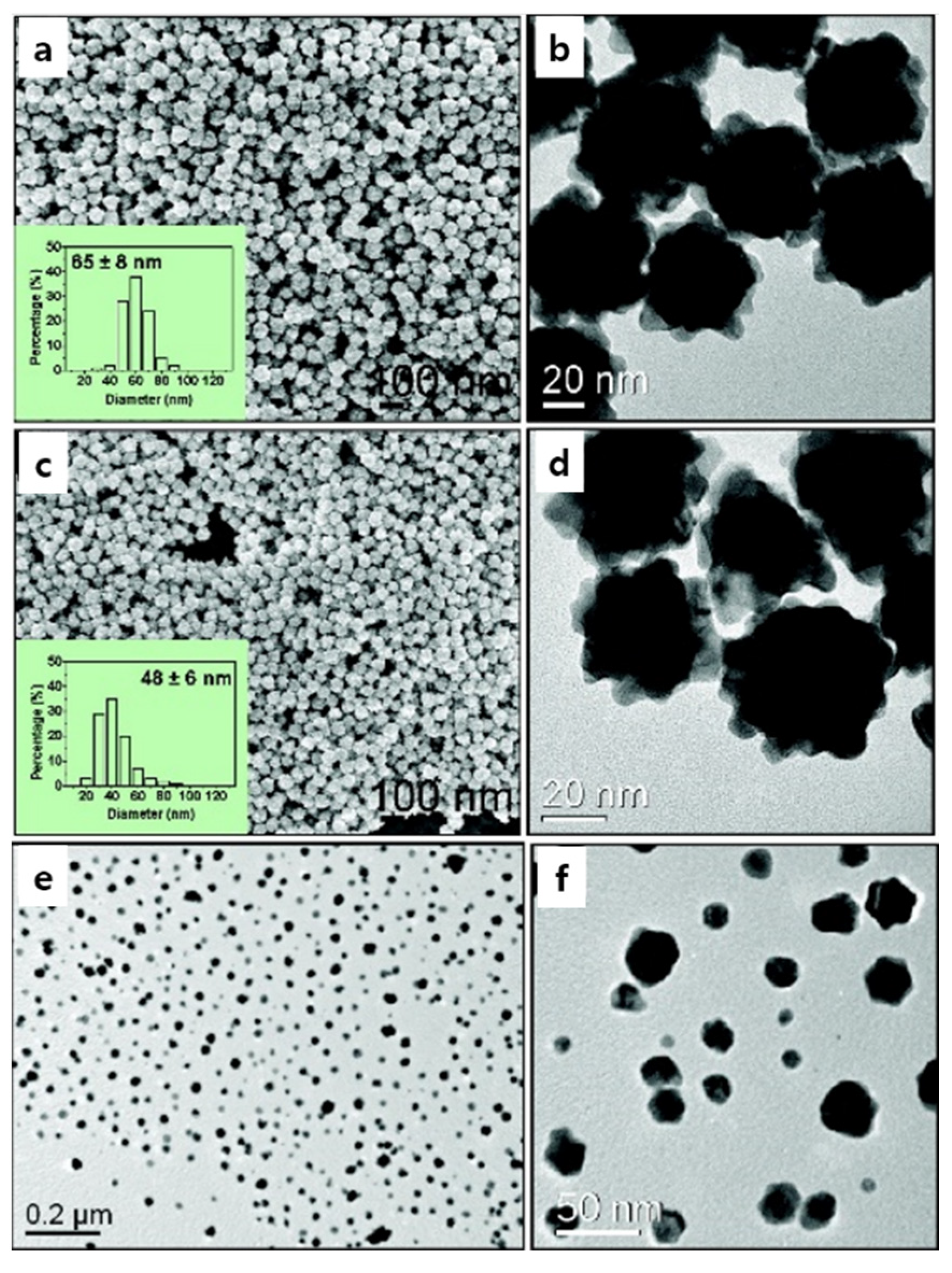 Pharmaceutics 14 01887 g004