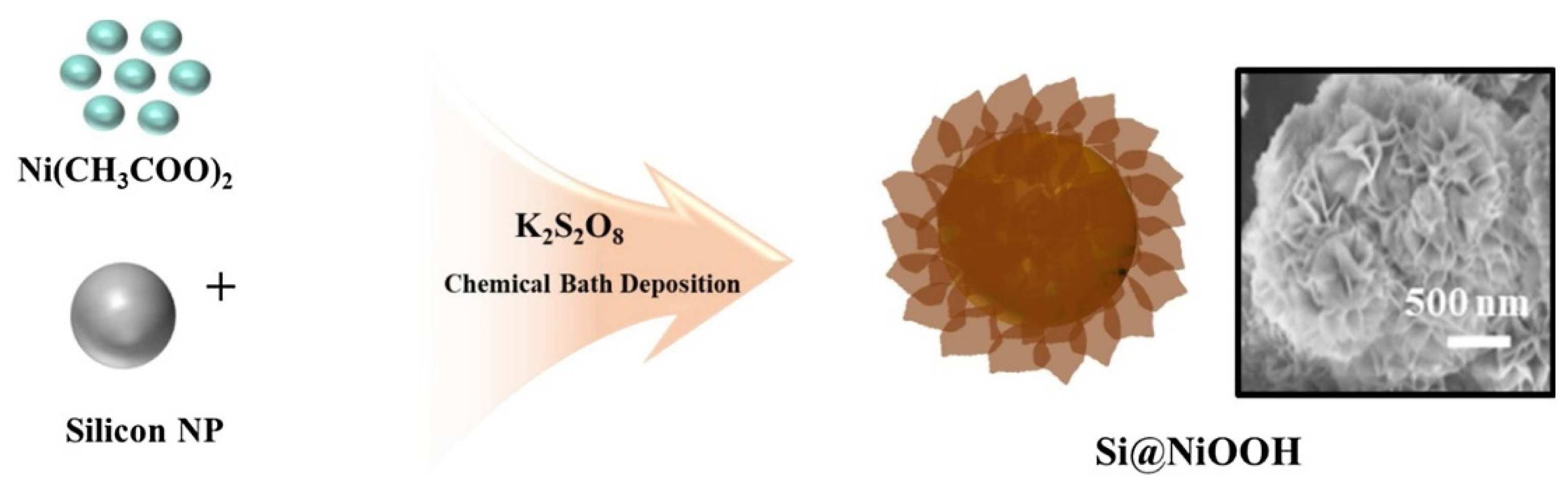 Pharmaceutics 14 01887 g006