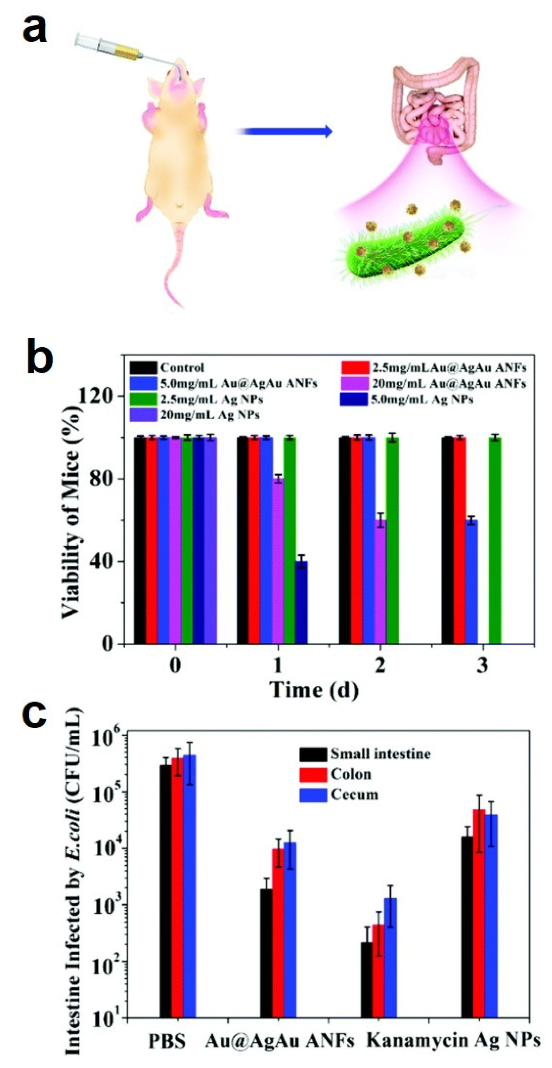 Pharmaceutics 14 01887 g008