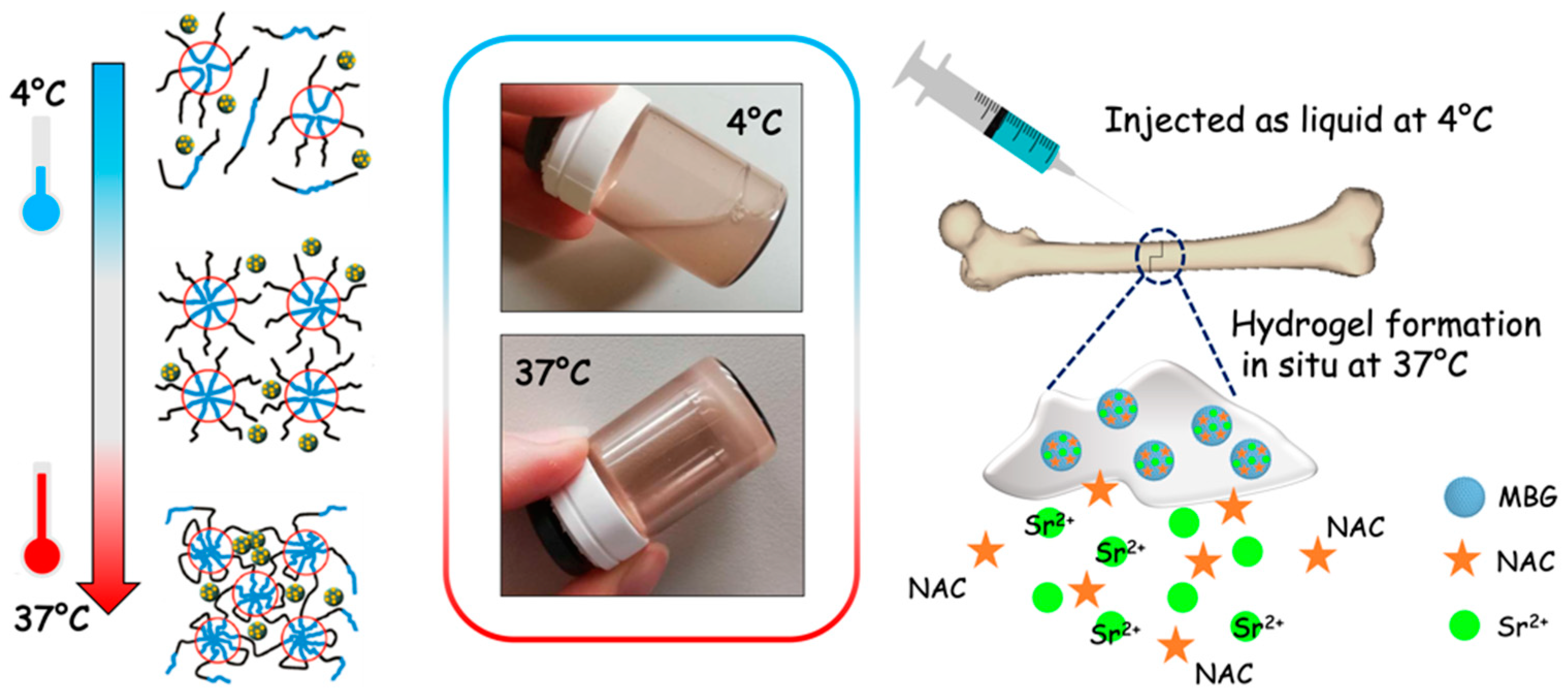 Pharmaceutics 14 01890 g001 550