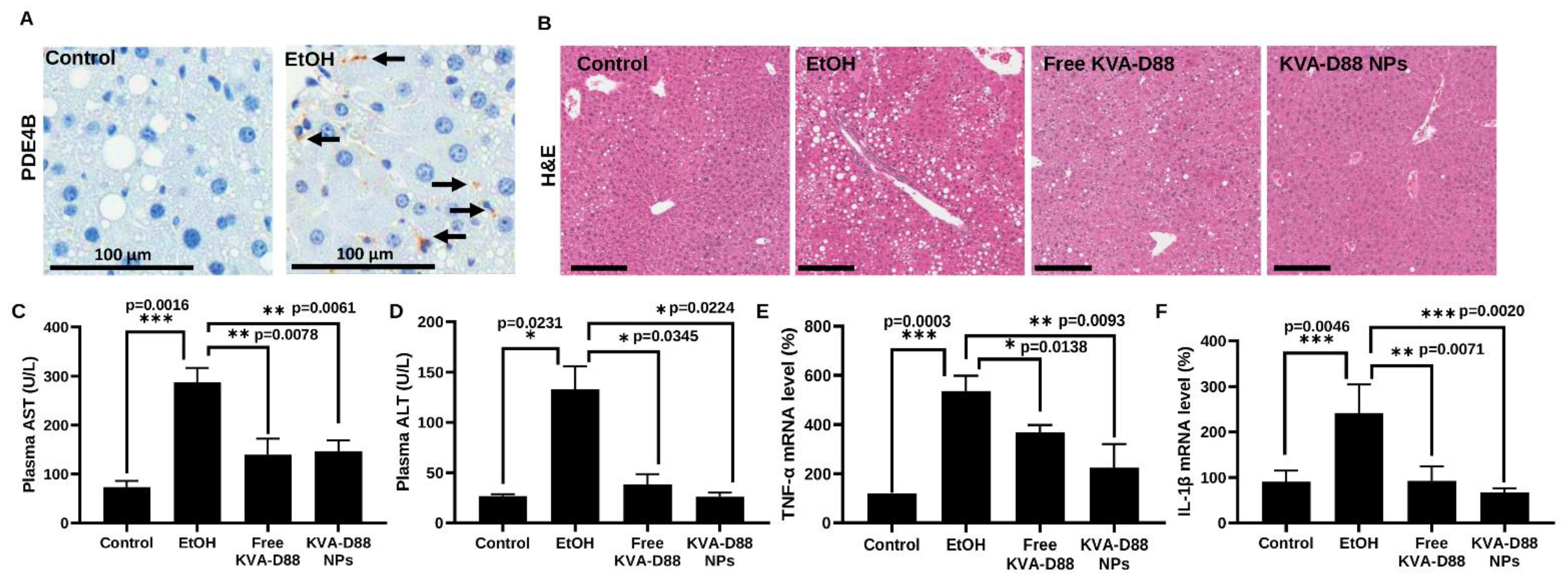 Pharmaceutics 14 01894 g006 550
